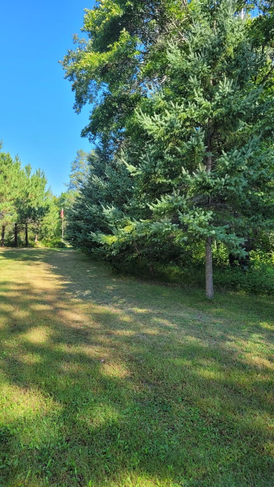 1955 single family home for sale at 1393 Cottonwood Trail SW in Pine River, MN — 3 bed, 0 bath (photo 3 of 9)