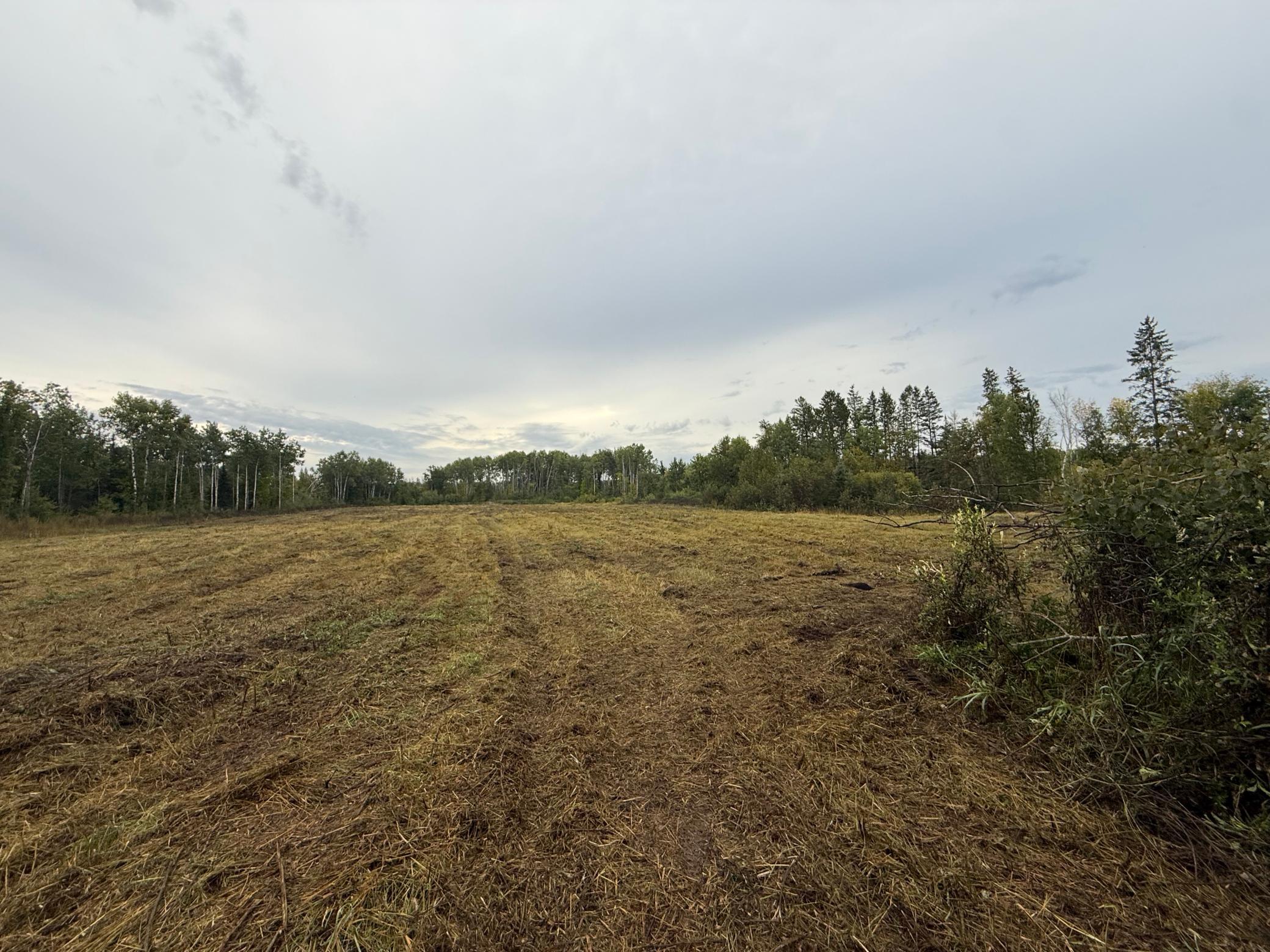 land for sale at 2230 Centerline Road NW in Solway, MN (photo 13 of 16)