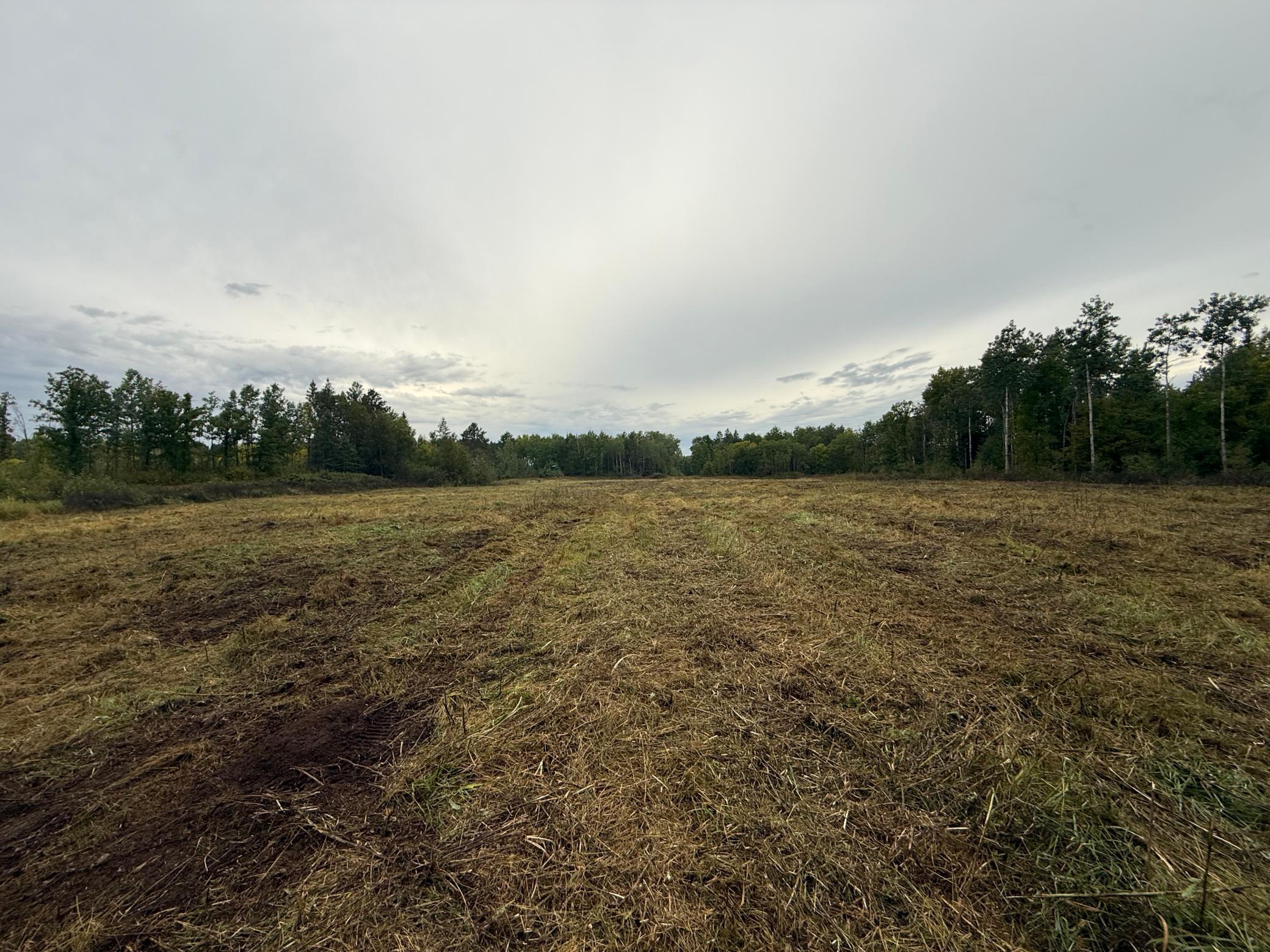 land for sale at 2230 Centerline Road NW in Solway, MN (photo 15 of 16)