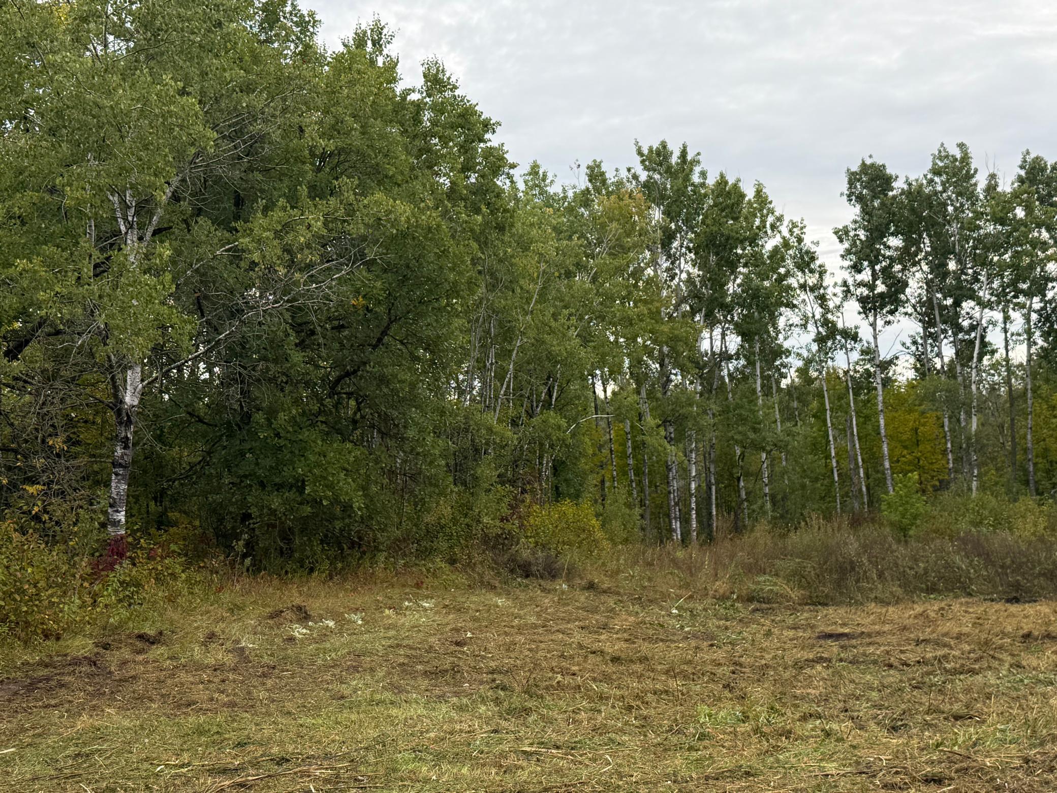 land for sale at 2230 Centerline Road NW in Solway, MN (photo 5 of 16)