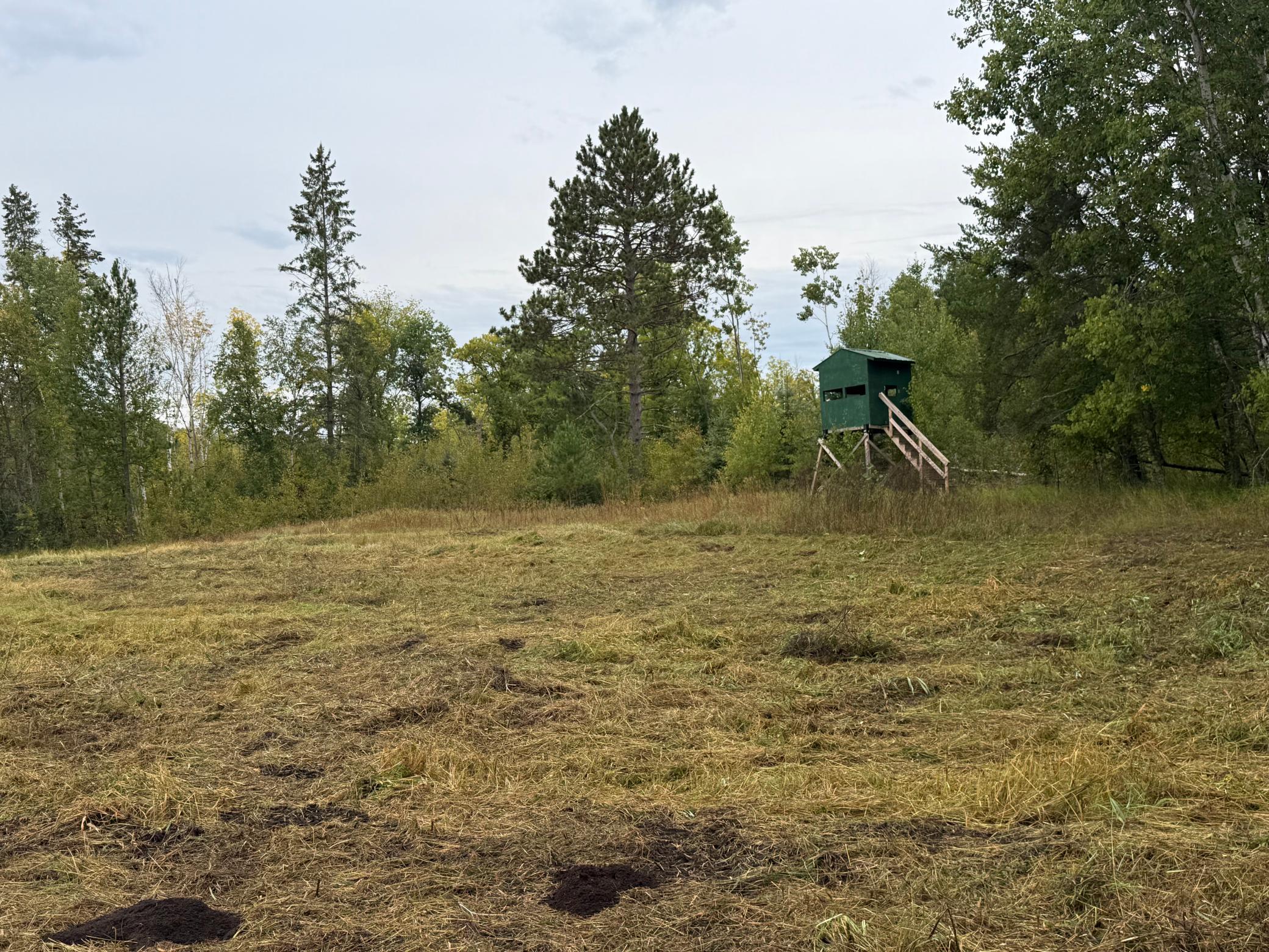 land for sale at 2230 Centerline Road NW in Solway, MN (photo 6 of 16)