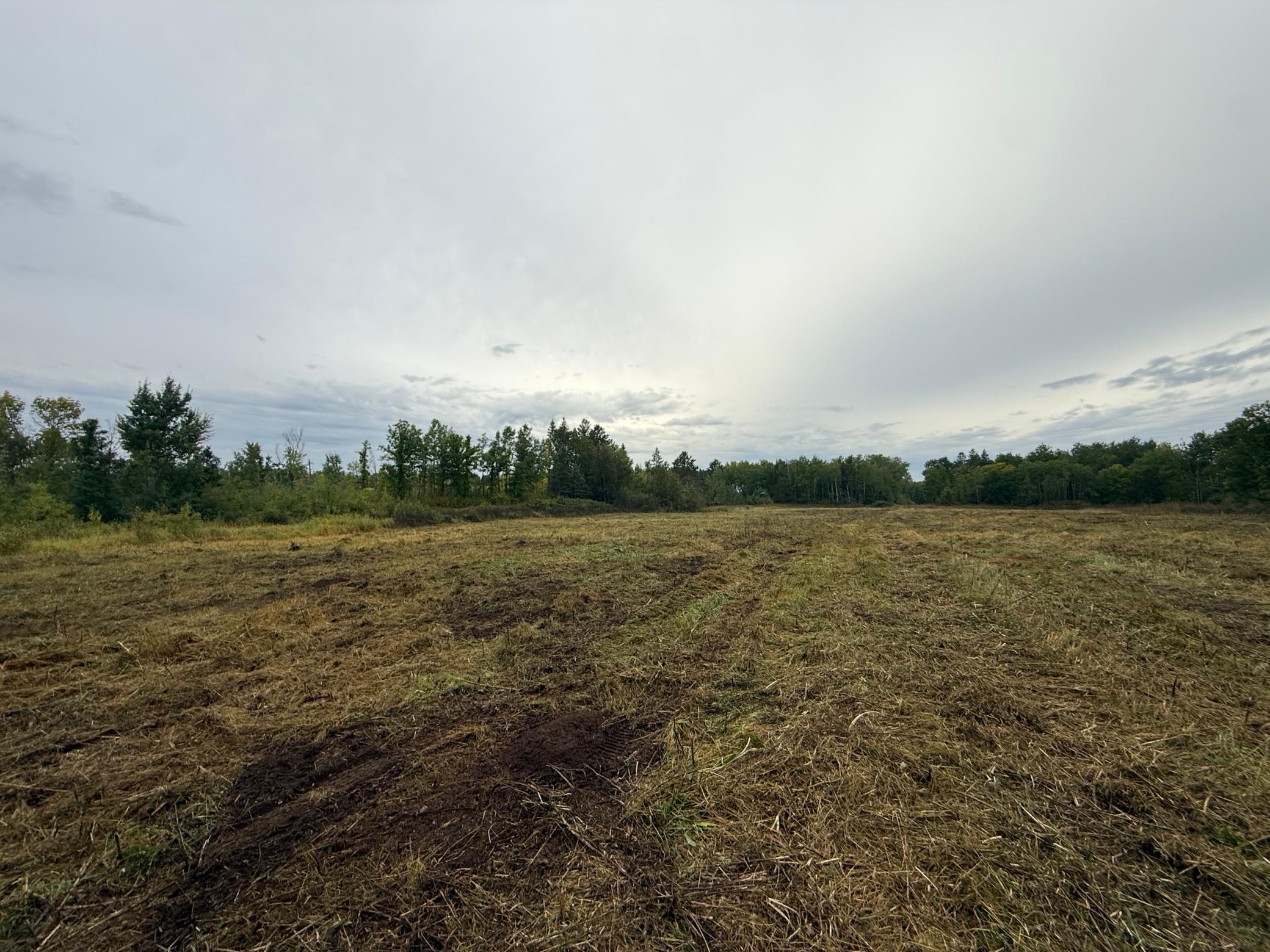 land for sale at 2230 Centerline Road NW in Solway, MN (photo 7 of 16)