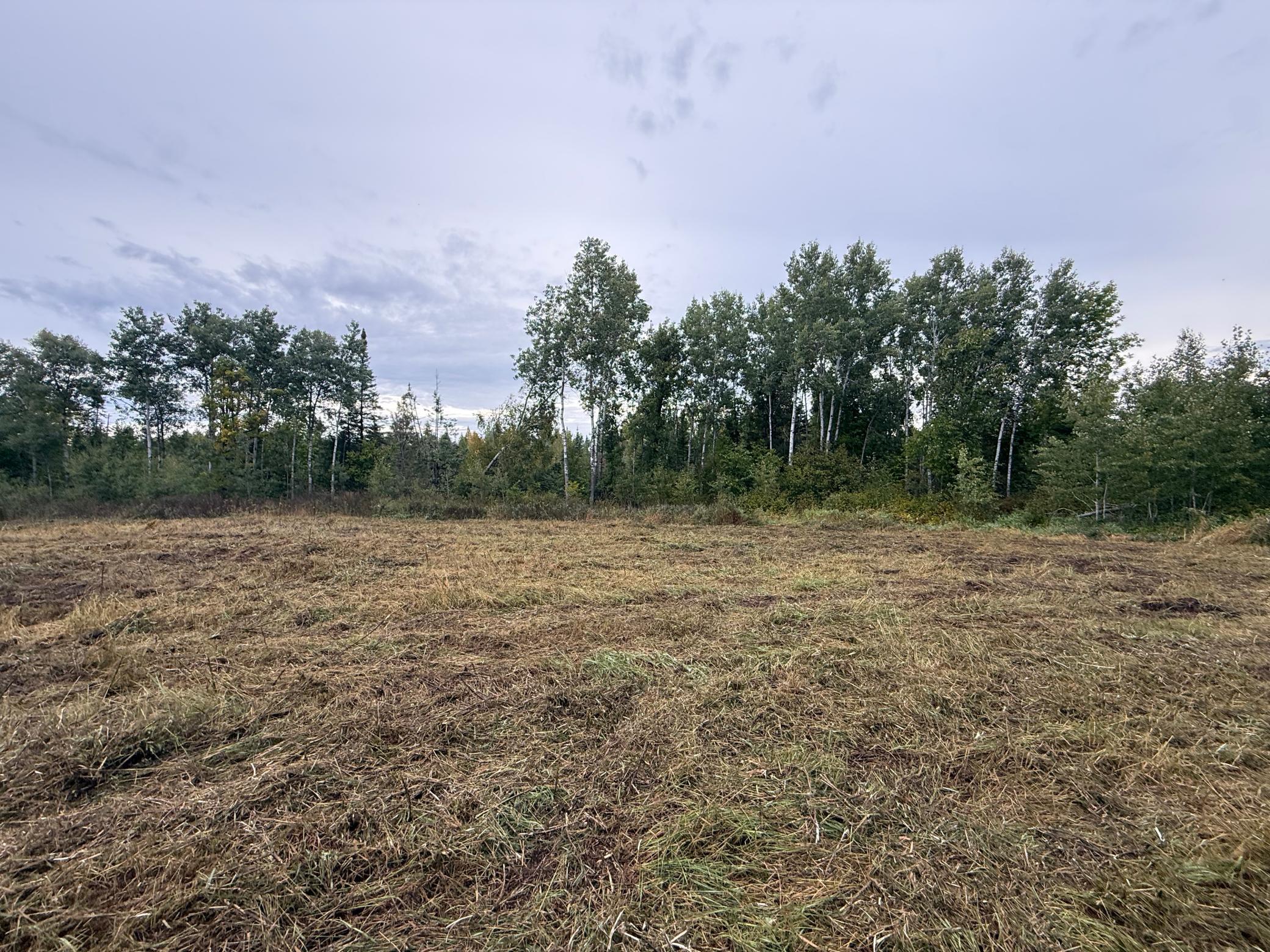 land for sale at 2230 Centerline Road NW in Solway, MN (photo 9 of 16)