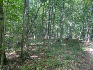 land for sale at TBD Whitewater Road in Emily, MN