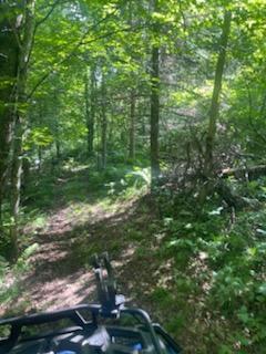 land for sale at TBD Whitewater Road in Emily, MN (photo 2 of 7)