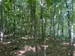 land for sale at TBD Whitewater Road in Emily, MN (photo 3 of 7)