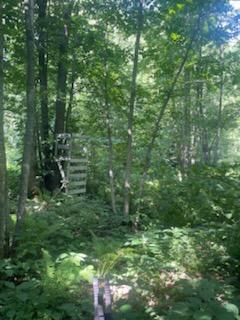land for sale at TBD Whitewater Road in Emily, MN (photo 4 of 7)