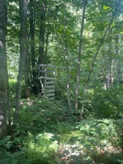 land for sale at TBD Whitewater Road in Emily, MN (photo 5 of 7)