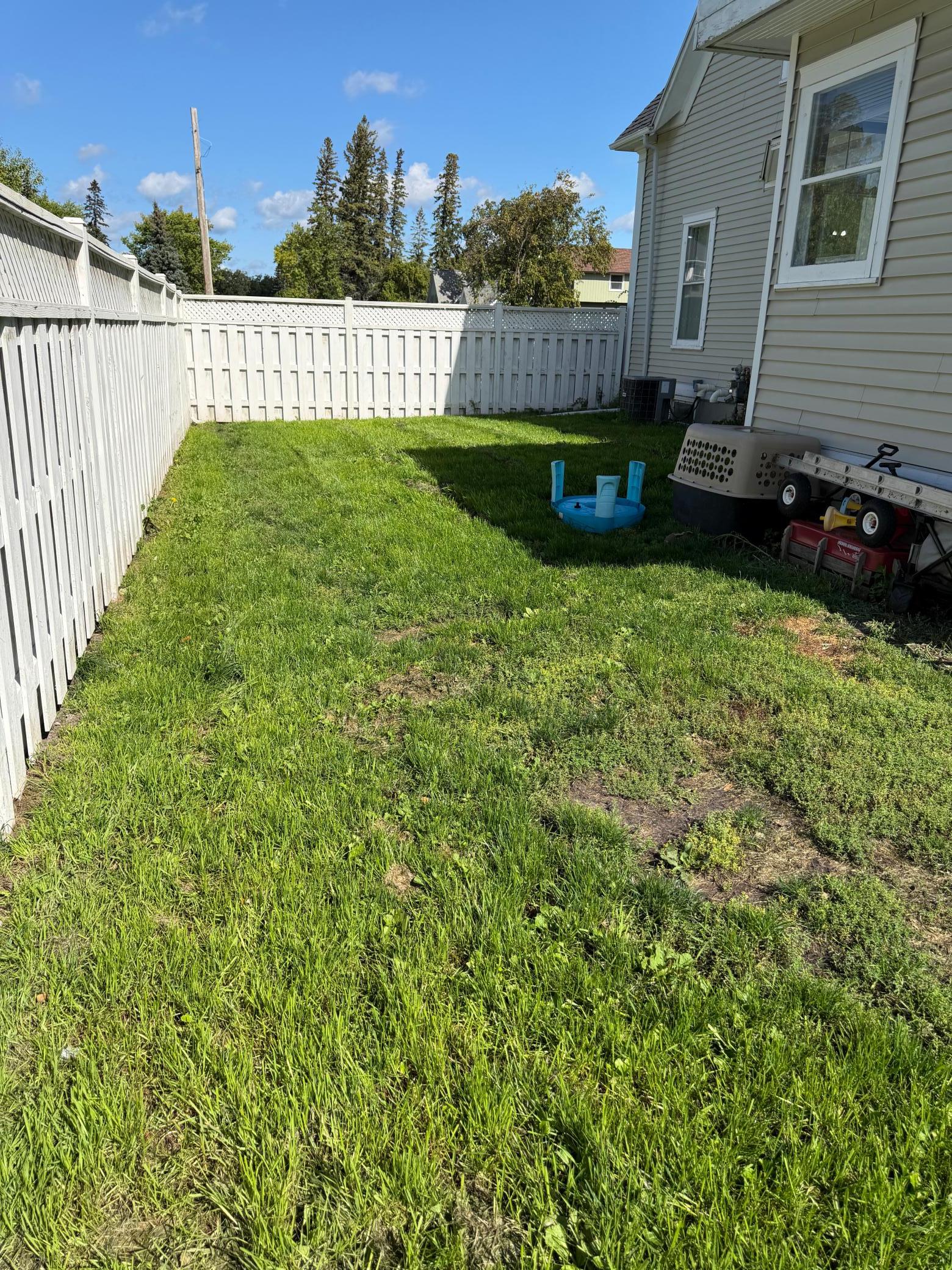 1909 single family home for sale at 308 Center Street E in Roseau, MN — 2 bed, 2 bath (photo 24 of 24)