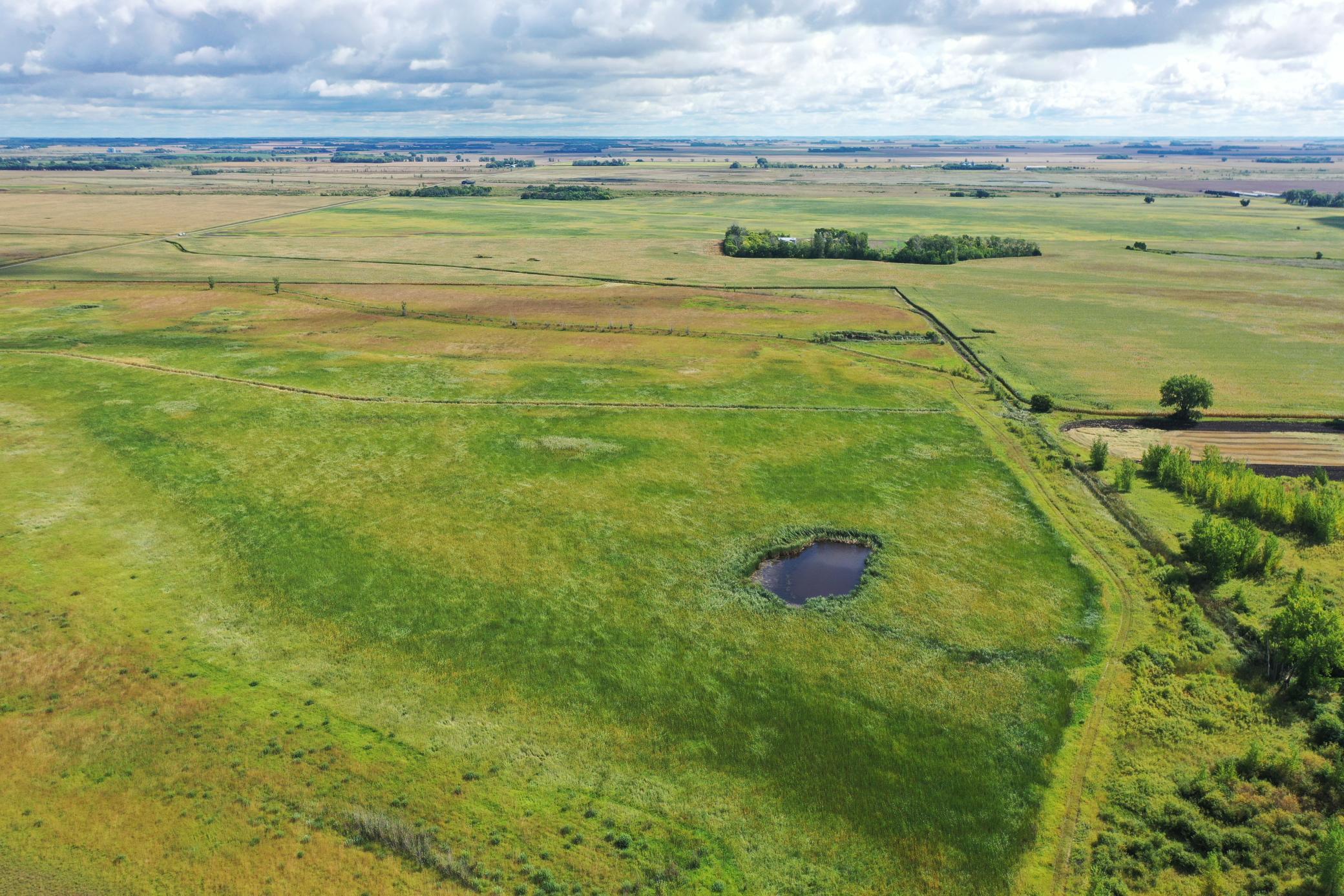 land for sale at 23307 210th Avenue N in Ulen, MN (photo 11 of 125)