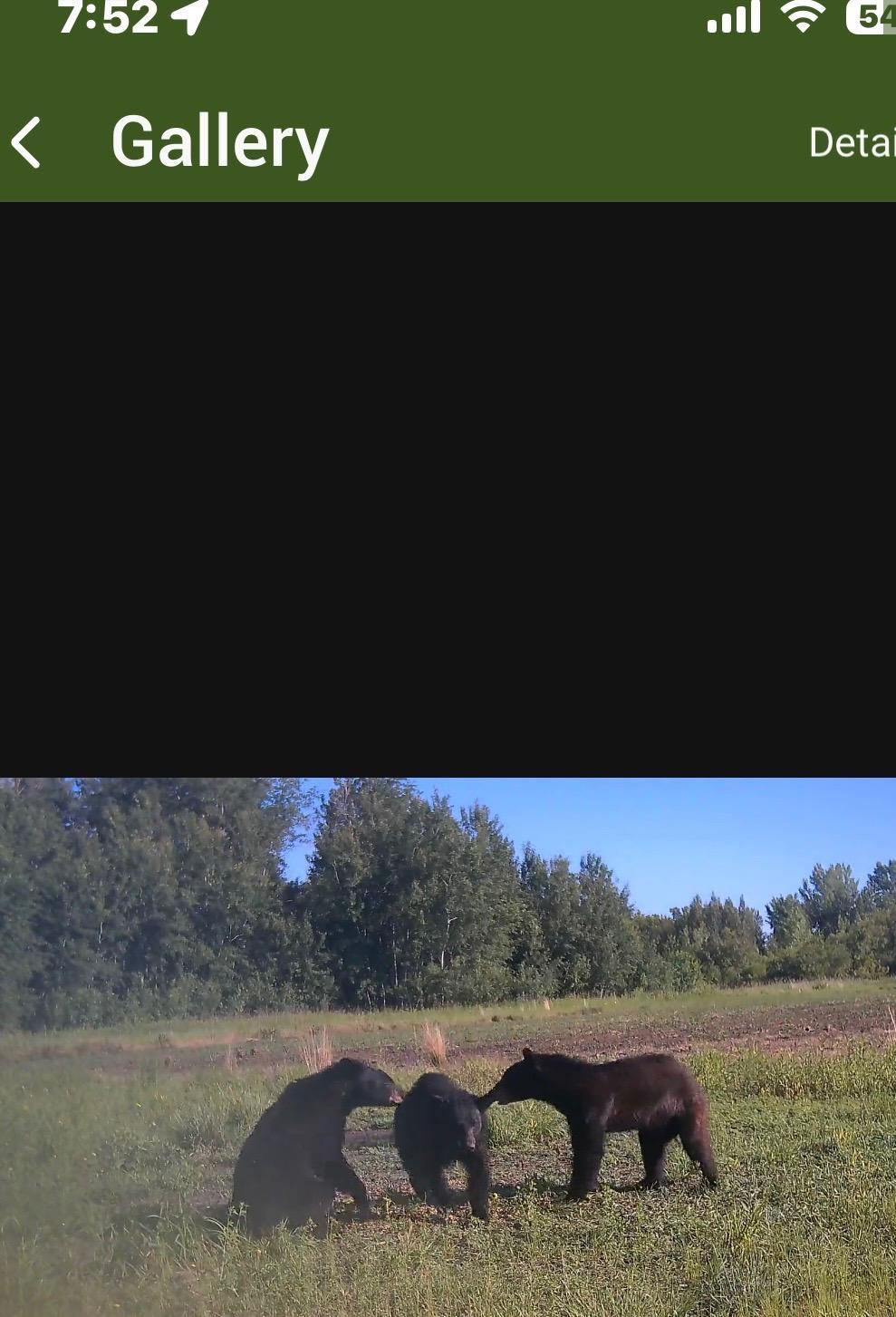 land for sale at 23307 210th Avenue N in Ulen, MN (photo 104 of 125)