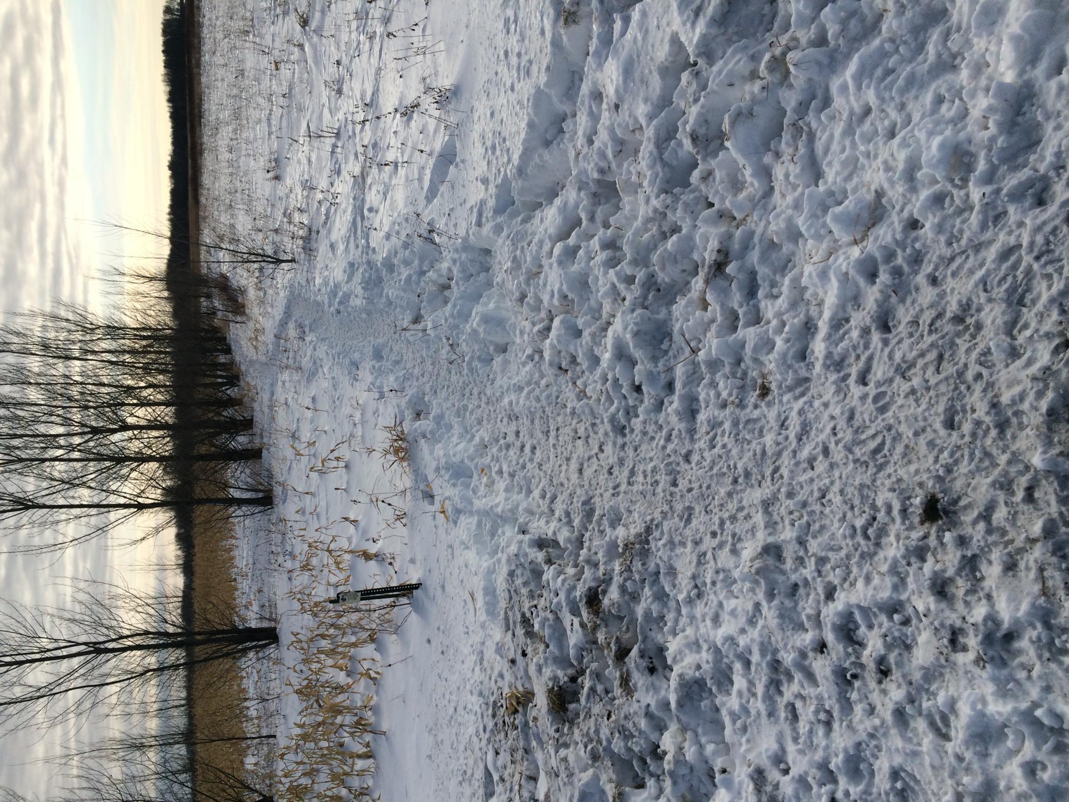 land for sale at 23307 210th Avenue N in Ulen, MN (photo 109 of 125)