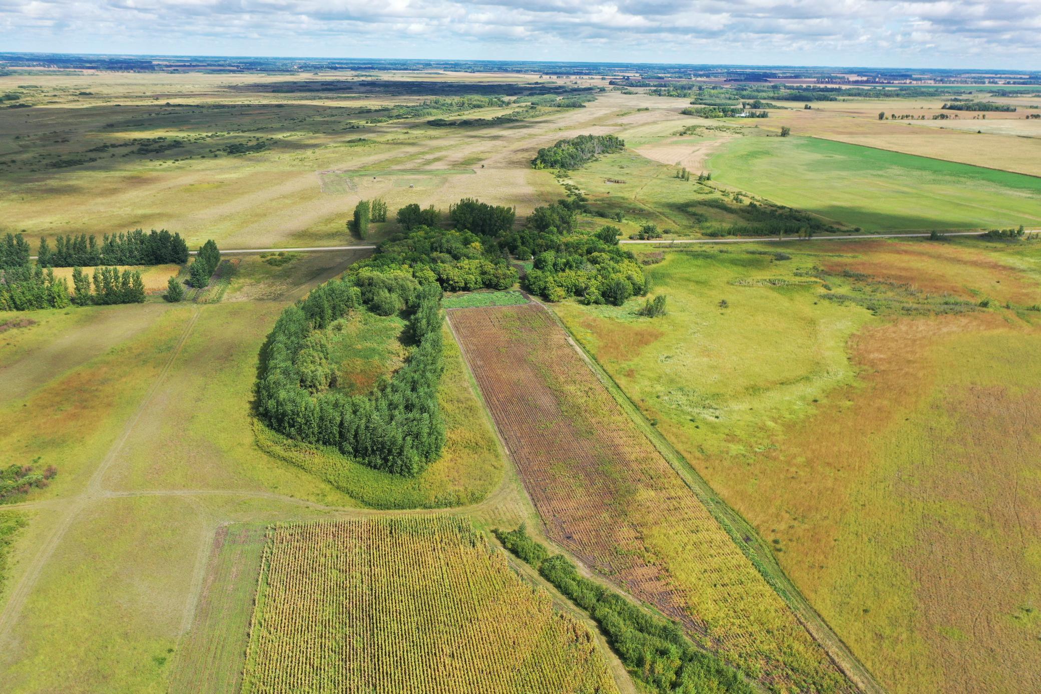 land for sale at 23307 210th Avenue N in Ulen, MN (photo 12 of 125)