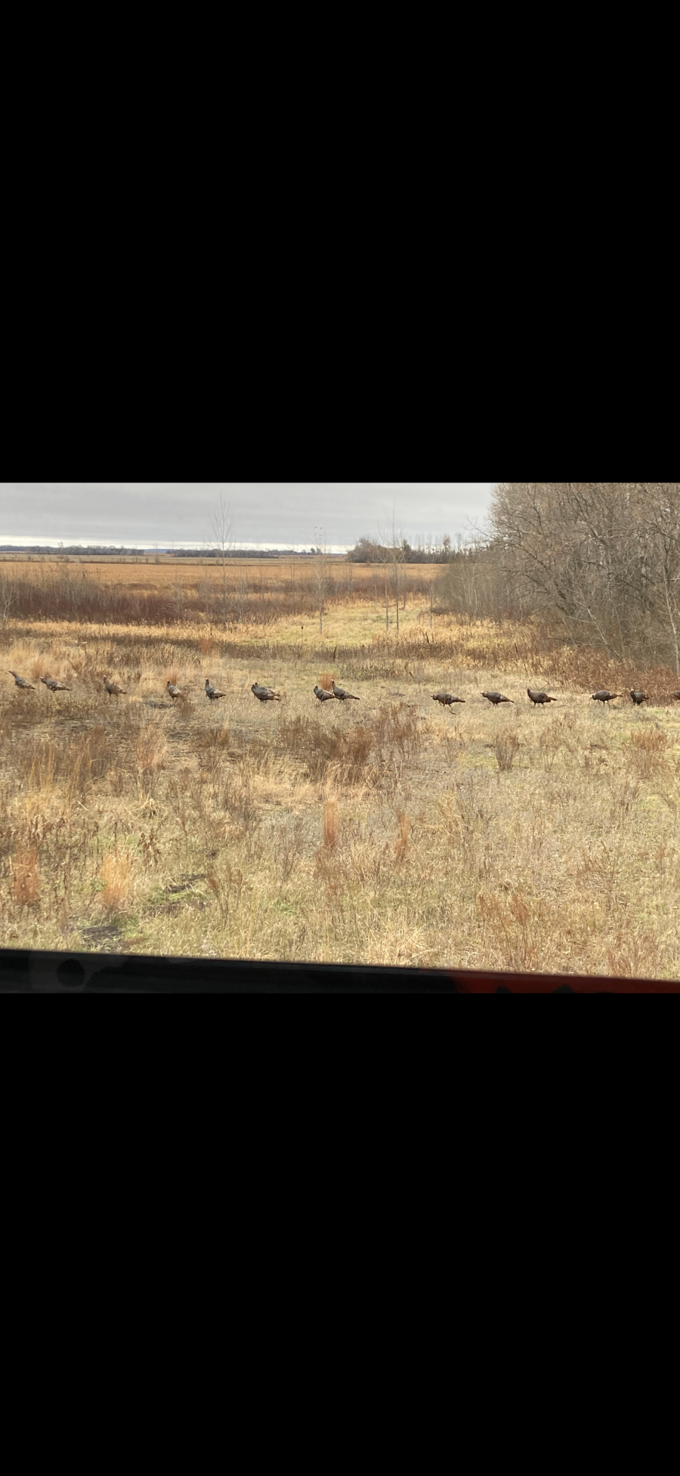 land for sale at 23307 210th Avenue N in Ulen, MN (photo 111 of 125)