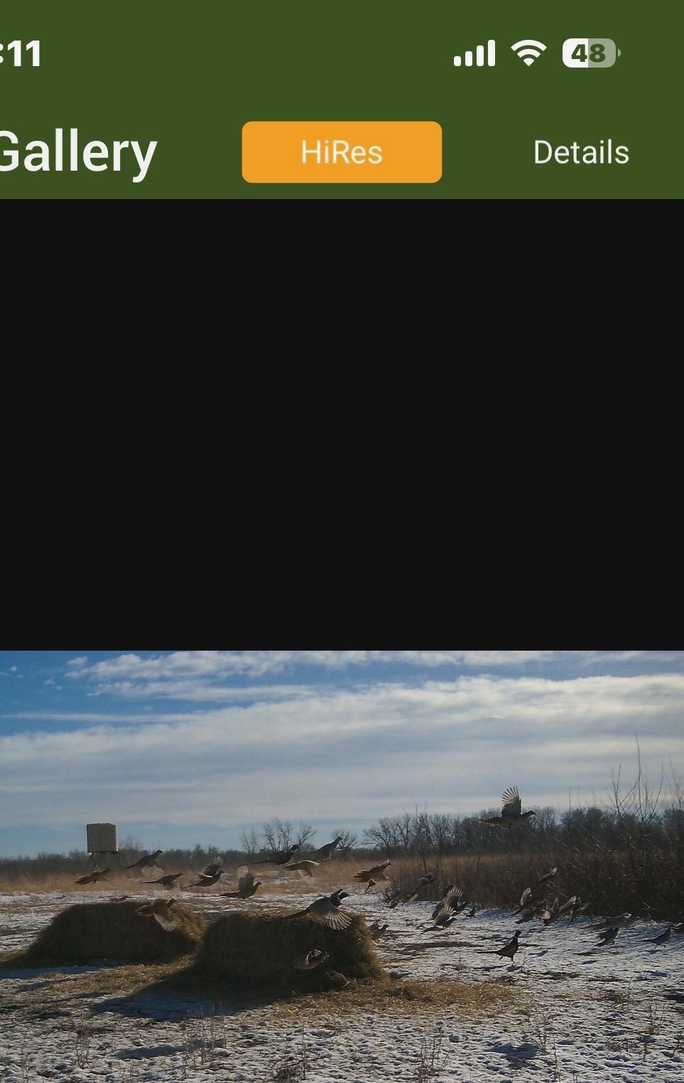land for sale at 23307 210th Avenue N in Ulen, MN (photo 112 of 125)