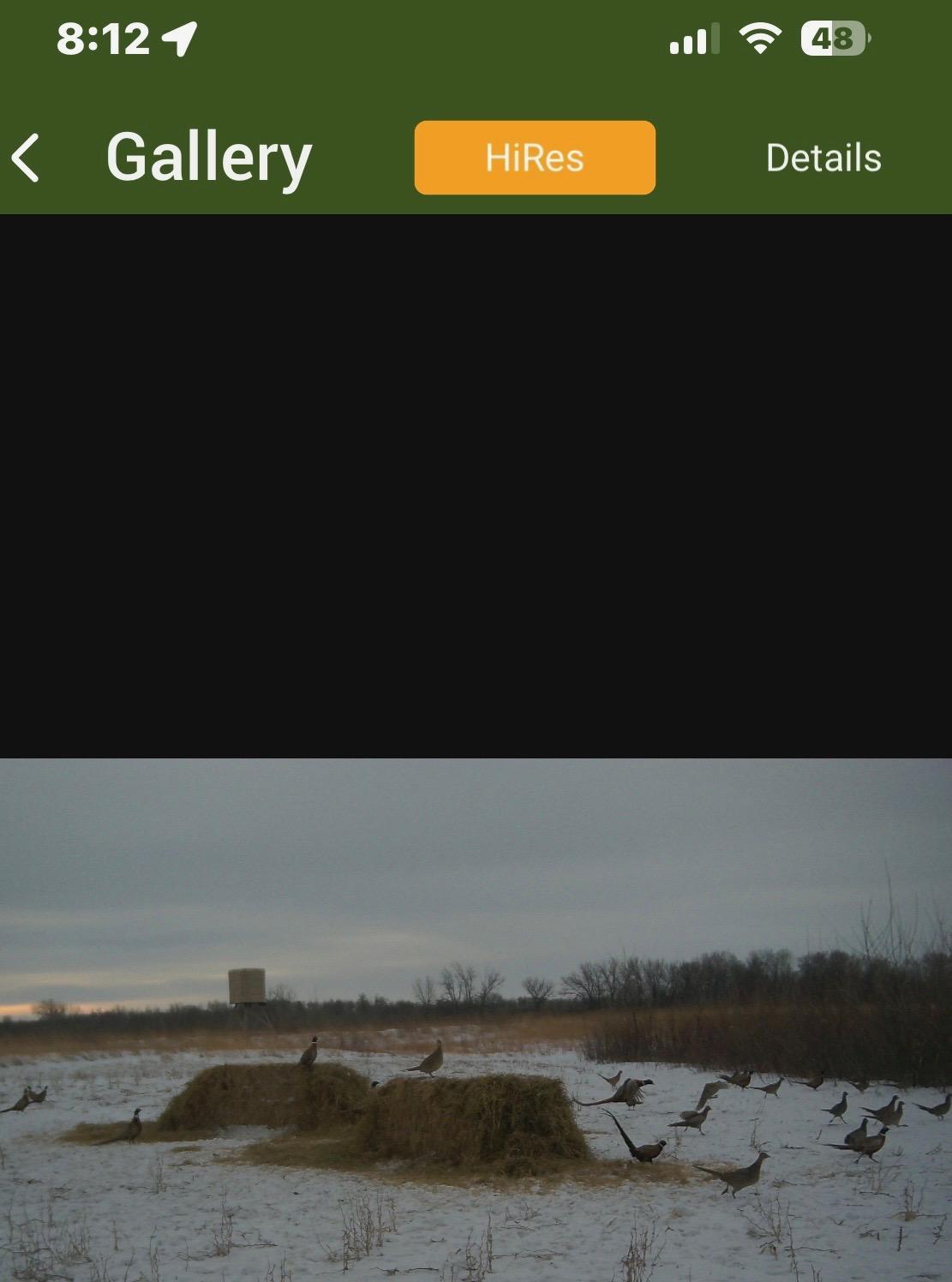 land for sale at 23307 210th Avenue N in Ulen, MN (photo 113 of 125)