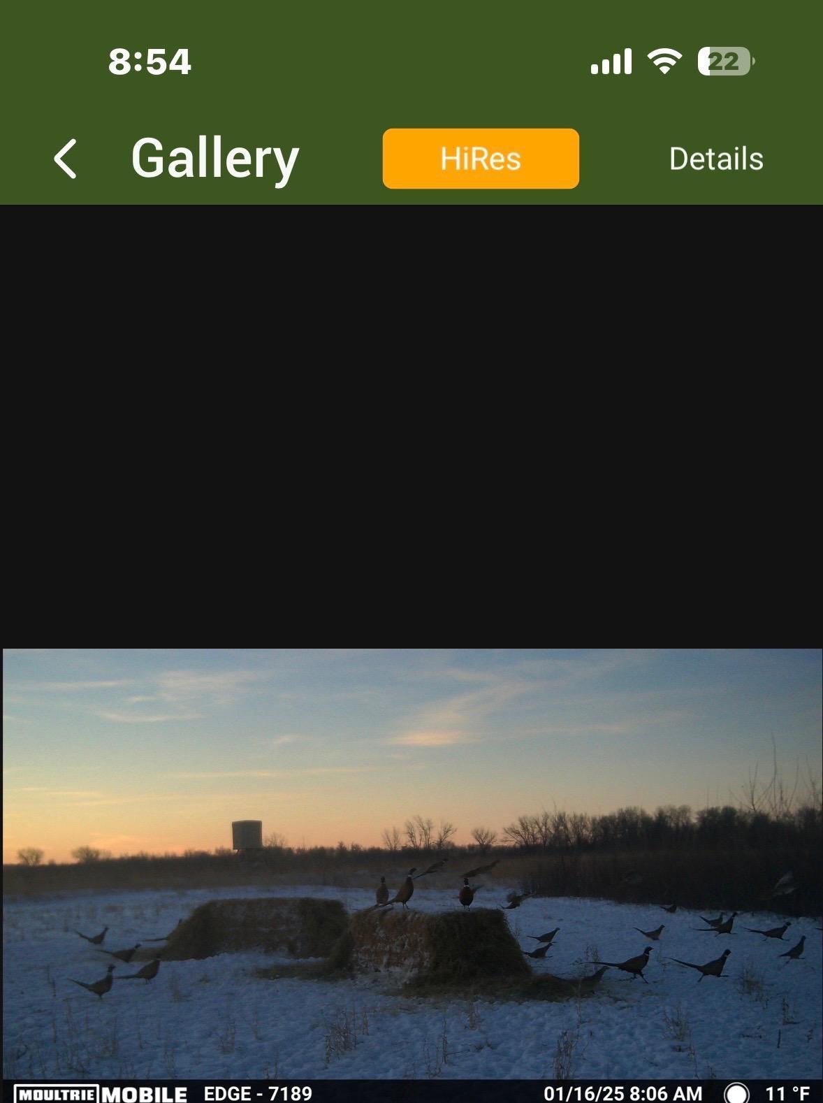 land for sale at 23307 210th Avenue N in Ulen, MN (photo 115 of 125)