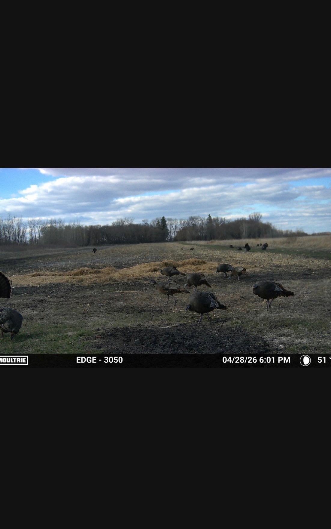 land for sale at 23307 210th Avenue N in Ulen, MN (photo 117 of 125)