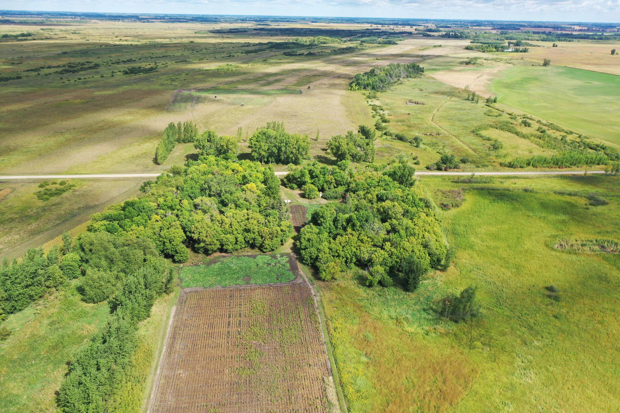 land for sale at 23307 210th Avenue N in Ulen, MN (photo 13 of 125)