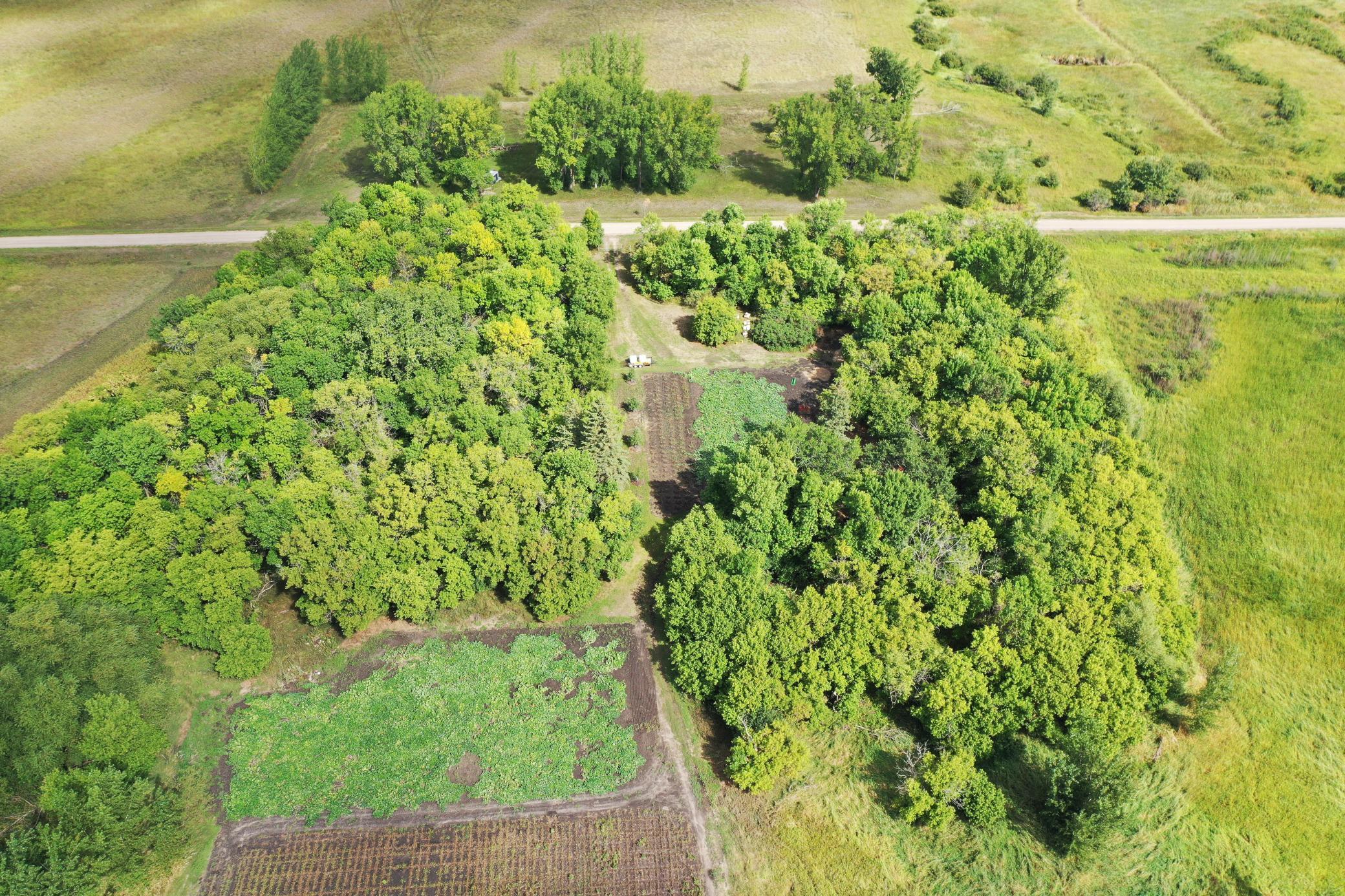 land for sale at 23307 210th Avenue N in Ulen, MN (photo 14 of 125)