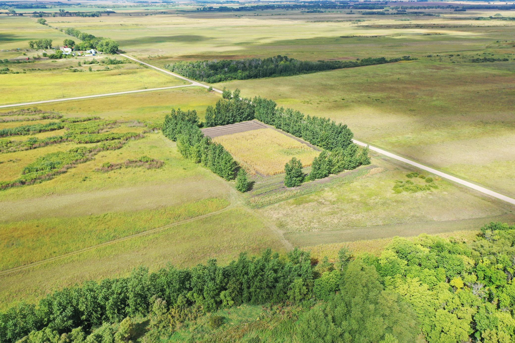 land for sale at 23307 210th Avenue N in Ulen, MN (photo 15 of 125)