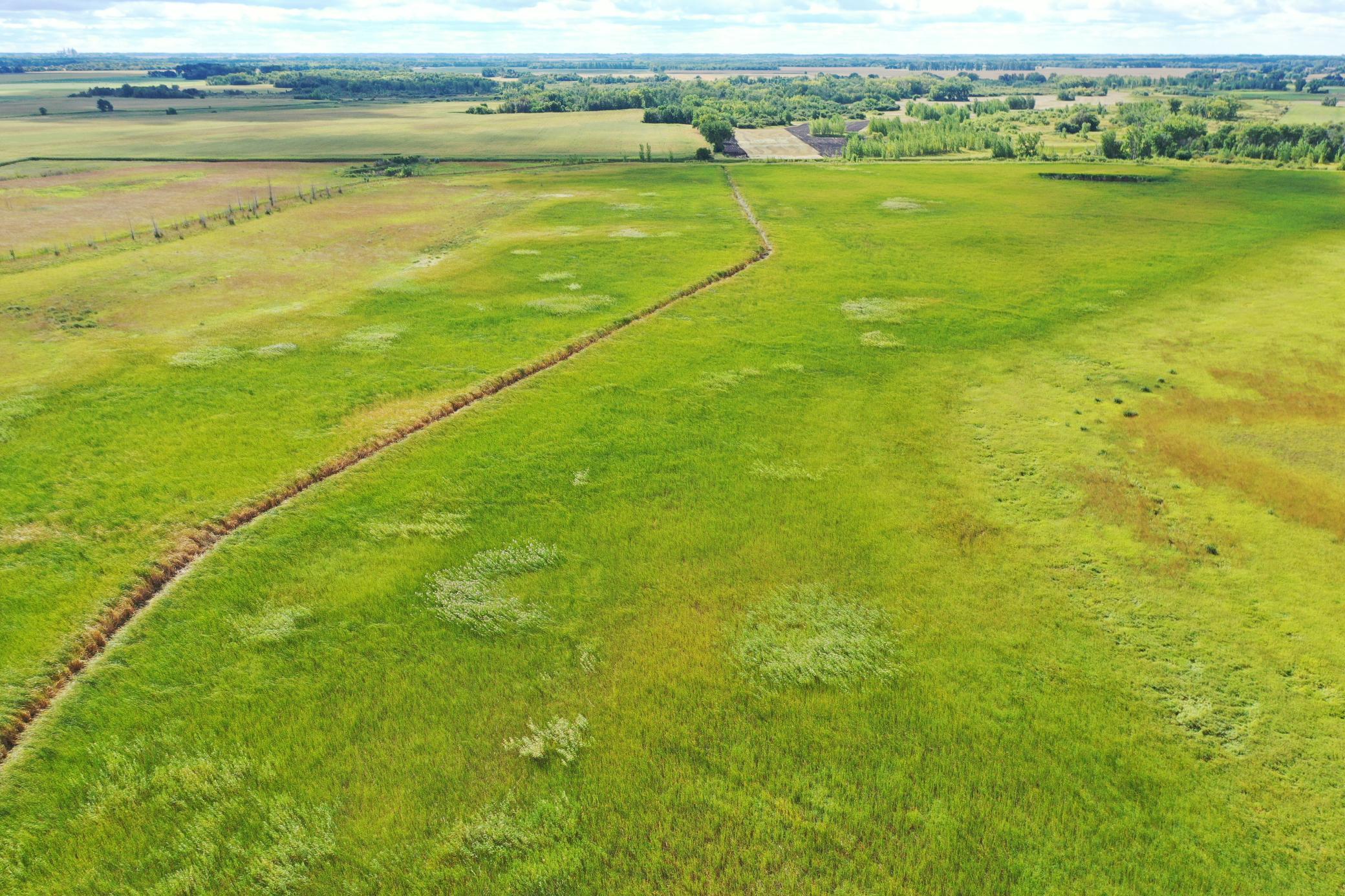 land for sale at 23307 210th Avenue N in Ulen, MN (photo 17 of 125)