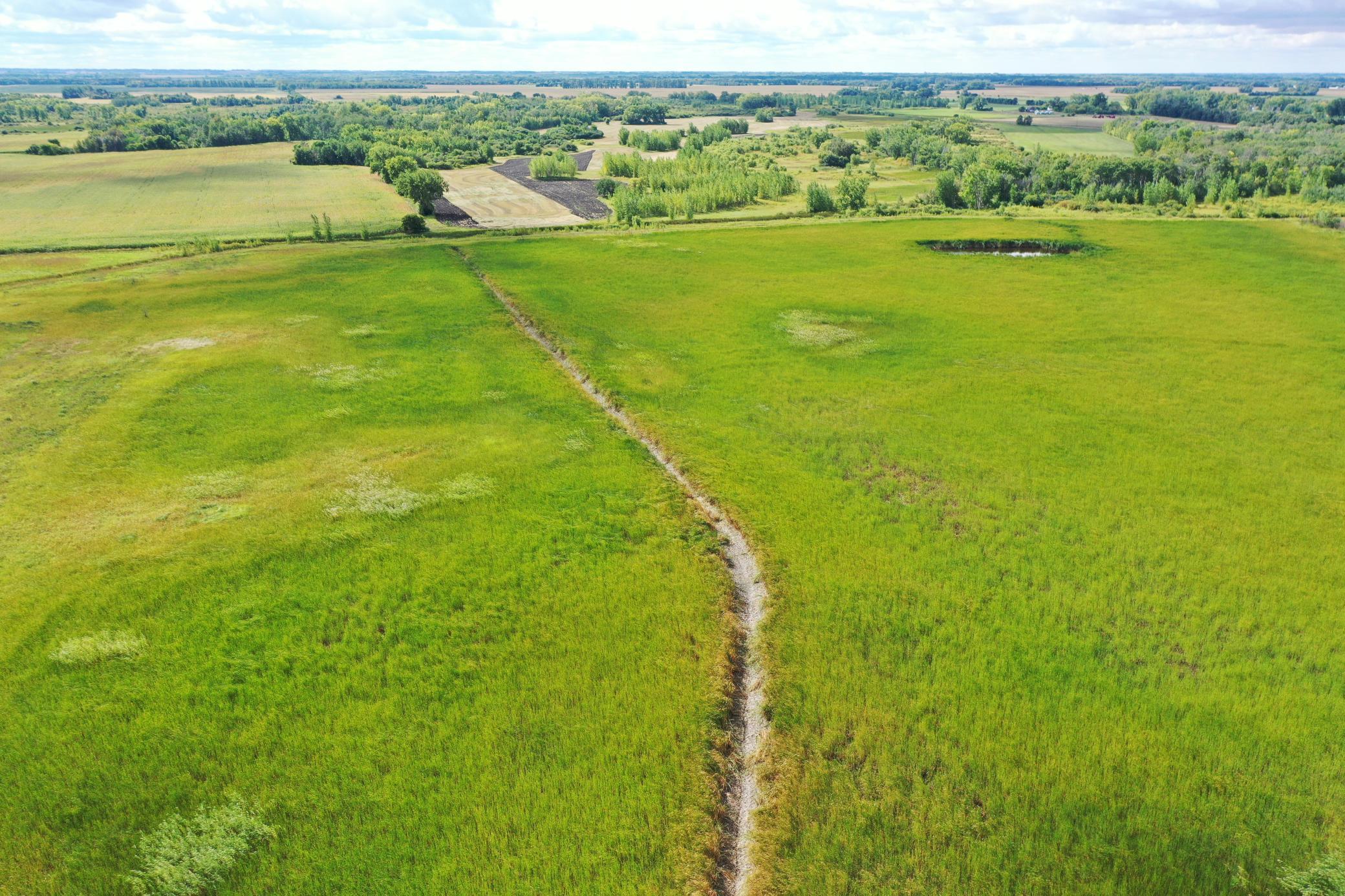 land for sale at 23307 210th Avenue N in Ulen, MN (photo 18 of 125)