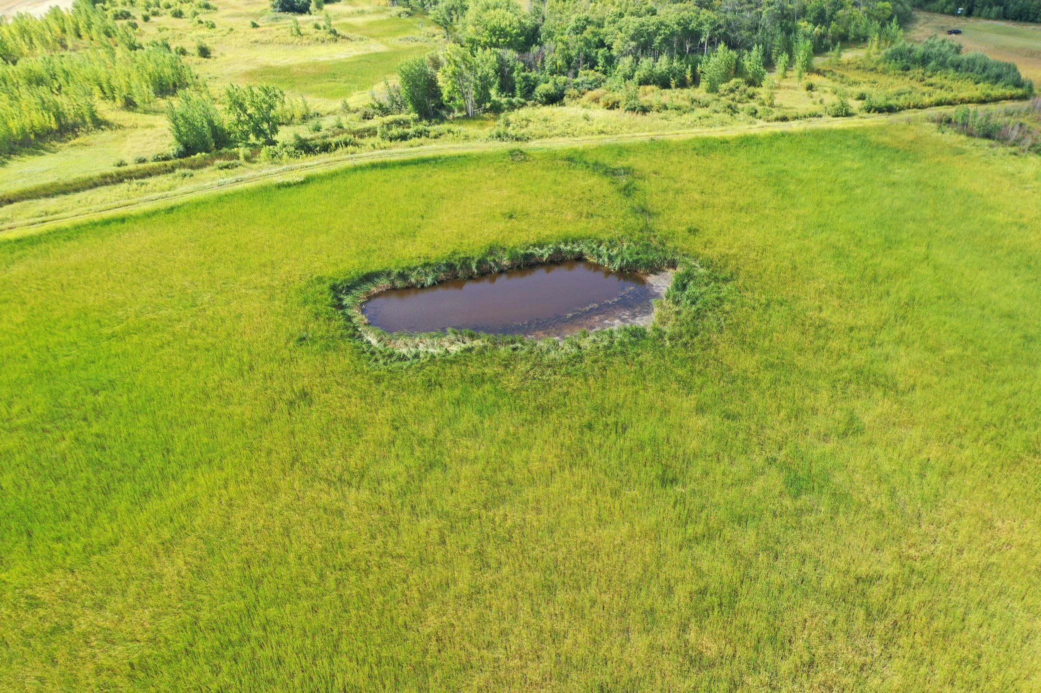 land for sale at 23307 210th Avenue N in Ulen, MN (photo 19 of 125)