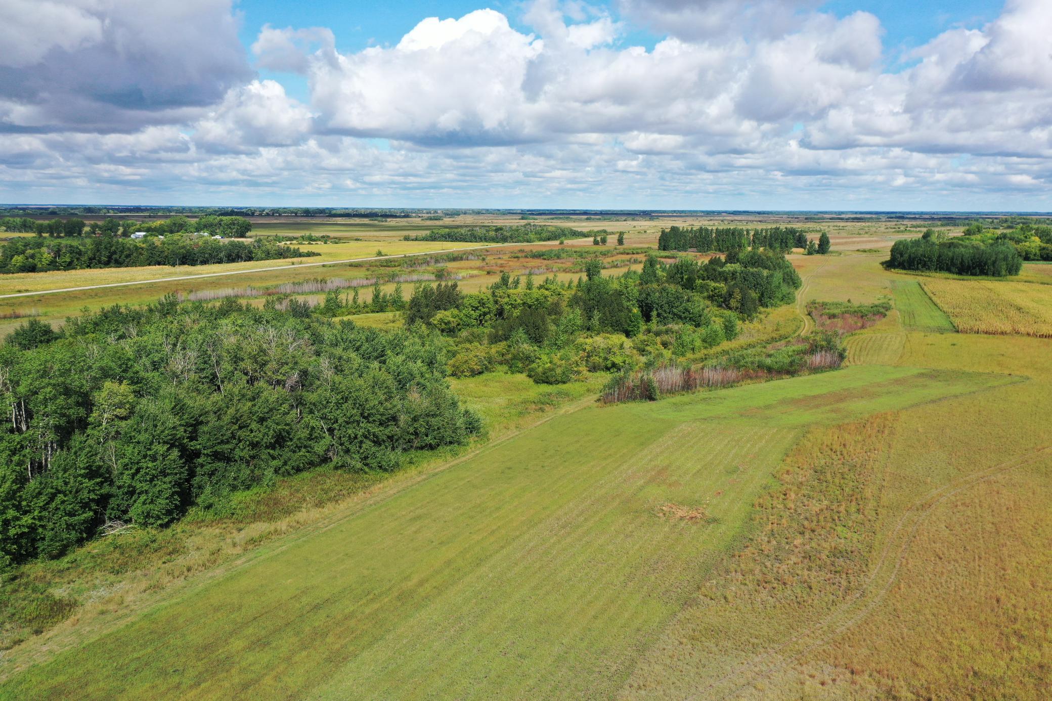 land for sale at 23307 210th Avenue N in Ulen, MN (photo 3 of 125)
