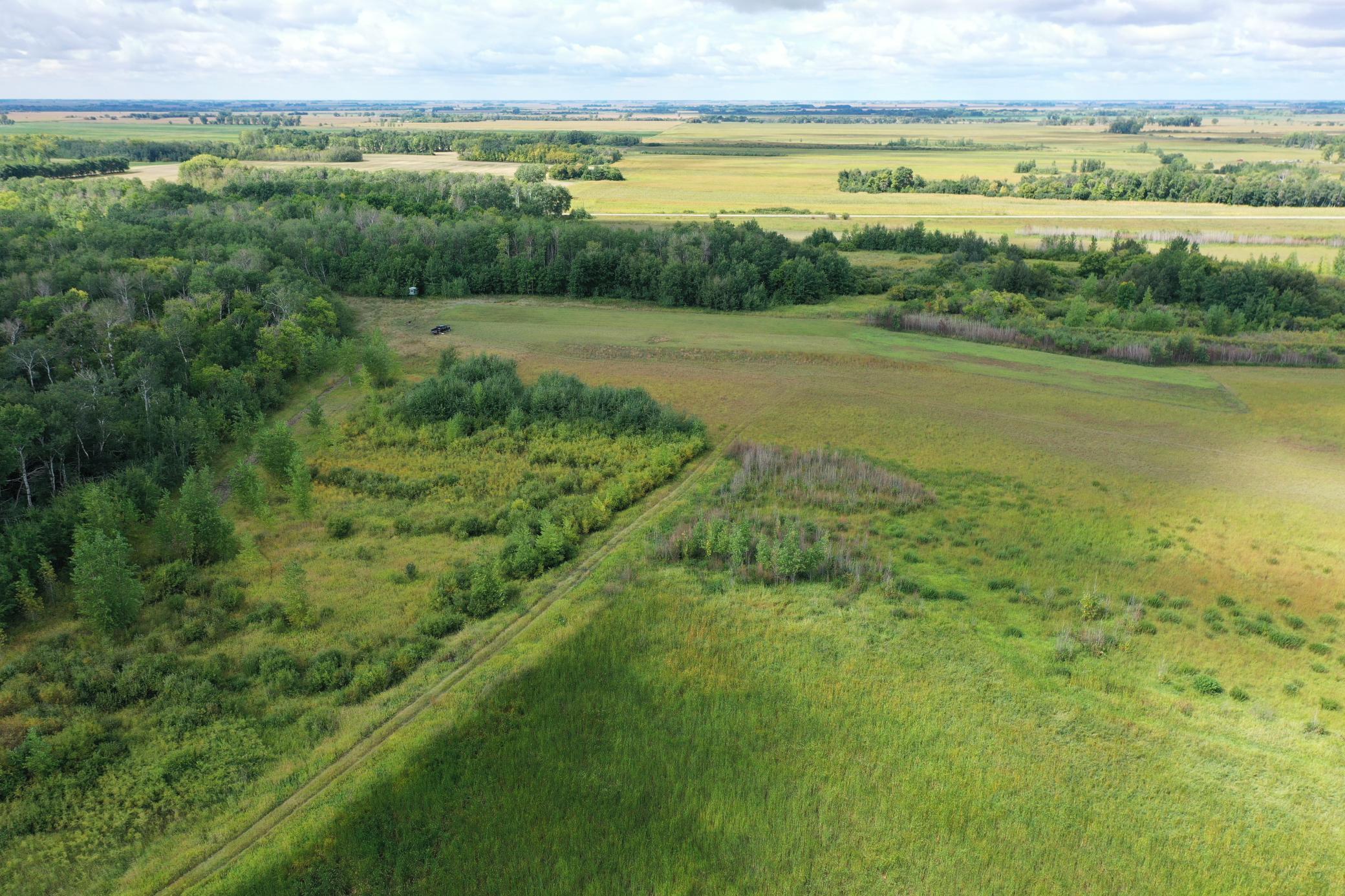 land for sale at 23307 210th Avenue N in Ulen, MN (photo 21 of 125)