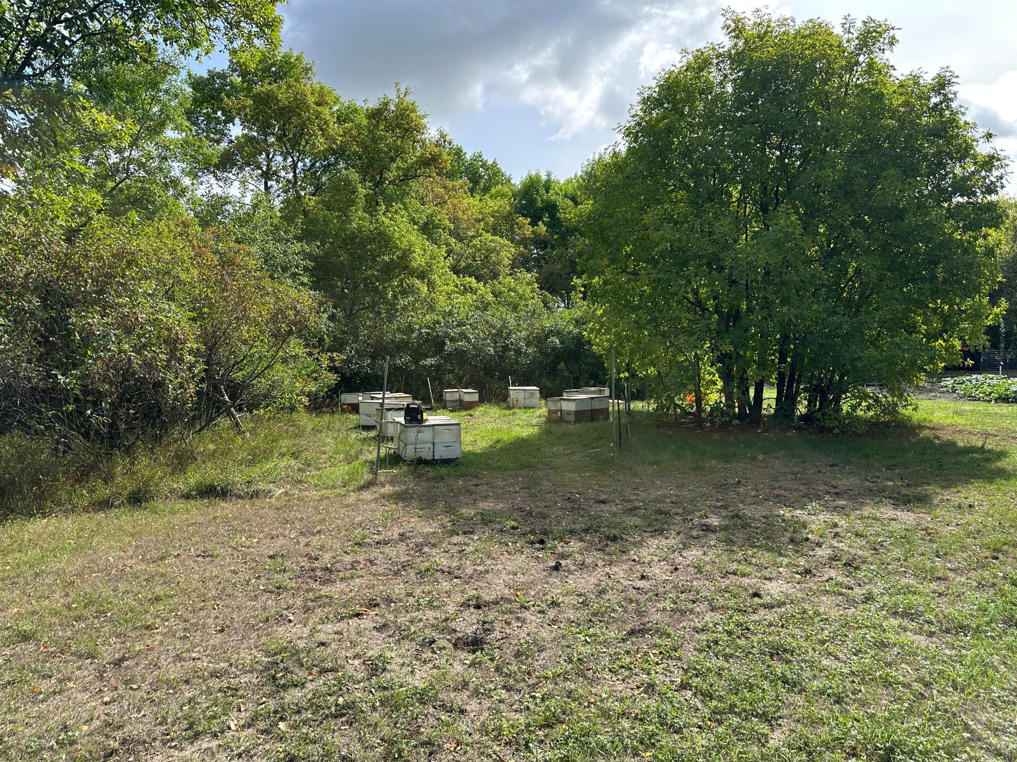 land for sale at 23307 210th Avenue N in Ulen, MN (photo 24 of 125)