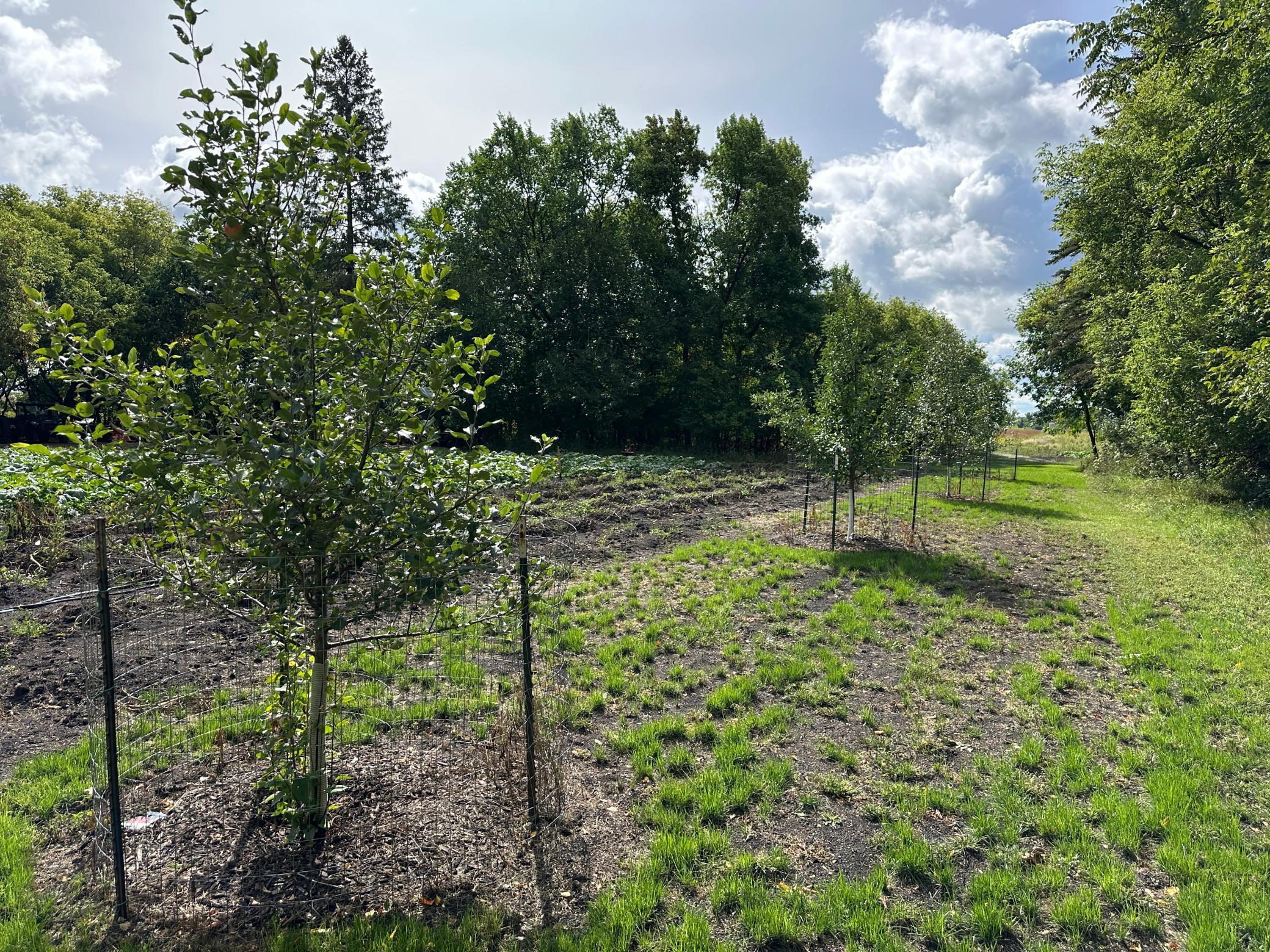 land for sale at 23307 210th Avenue N in Ulen, MN (photo 28 of 125)