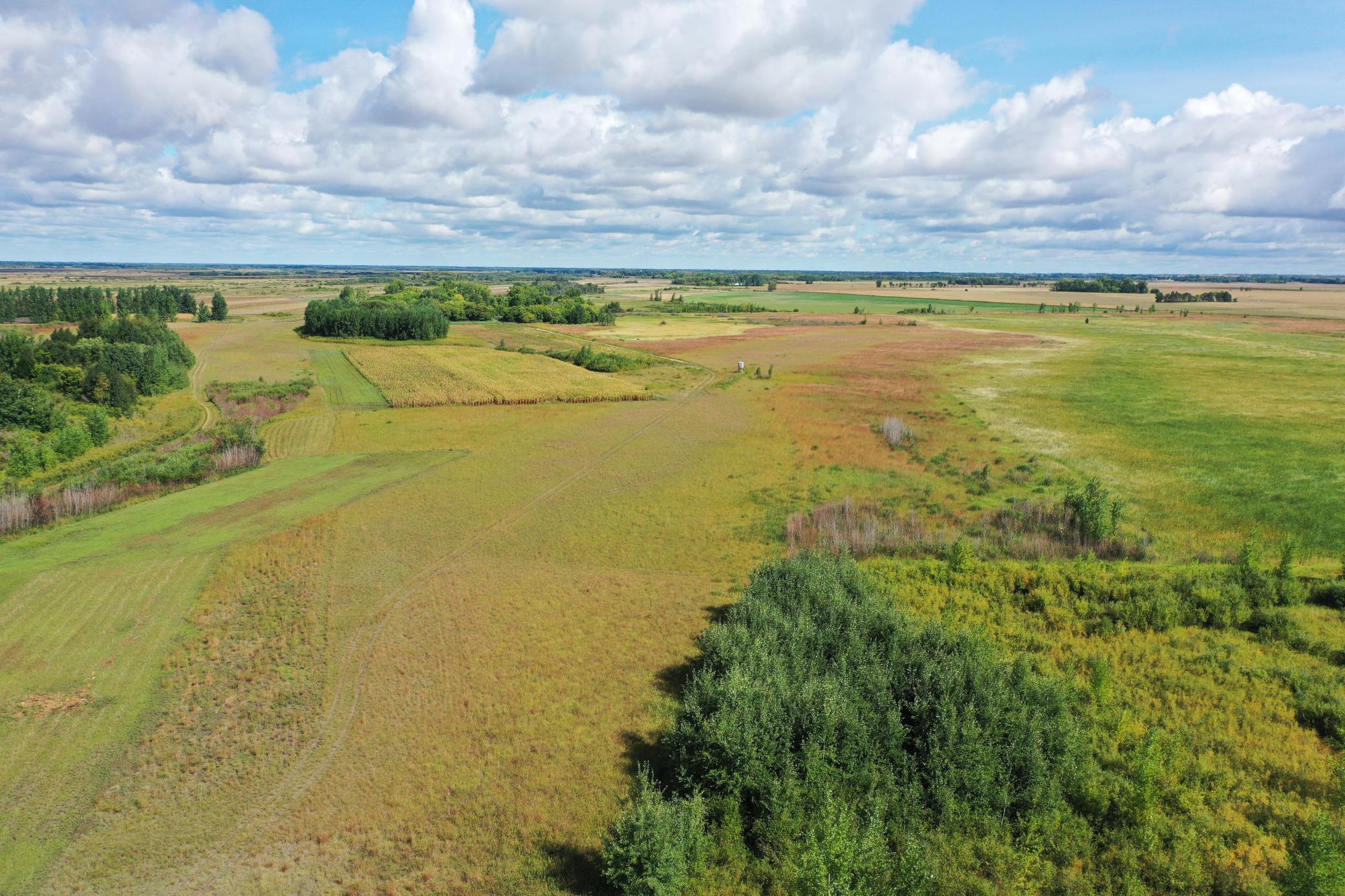 land for sale at 23307 210th Avenue N in Ulen, MN (photo 4 of 125)