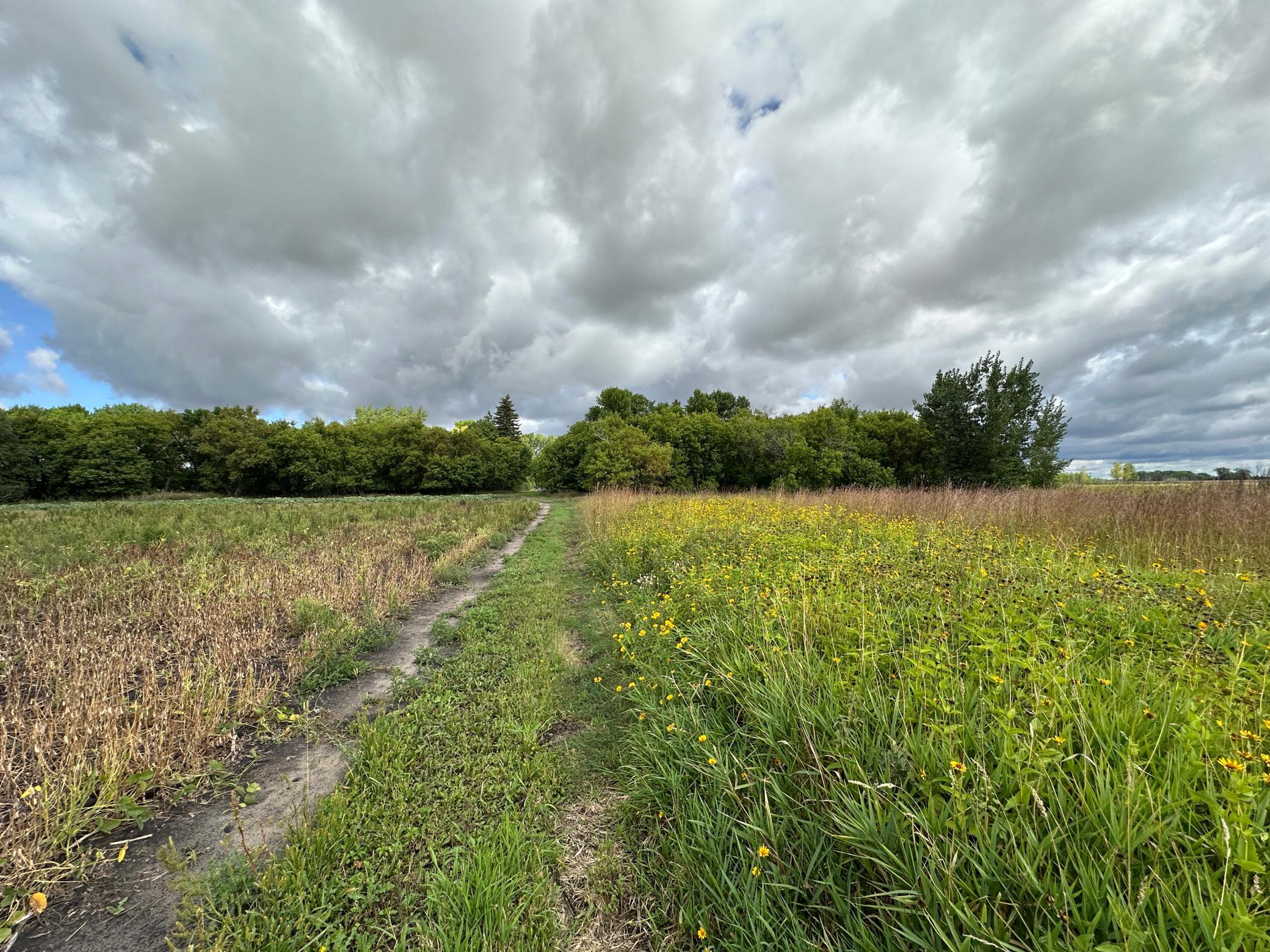 land for sale at 23307 210th Avenue N in Ulen, MN (photo 32 of 125)