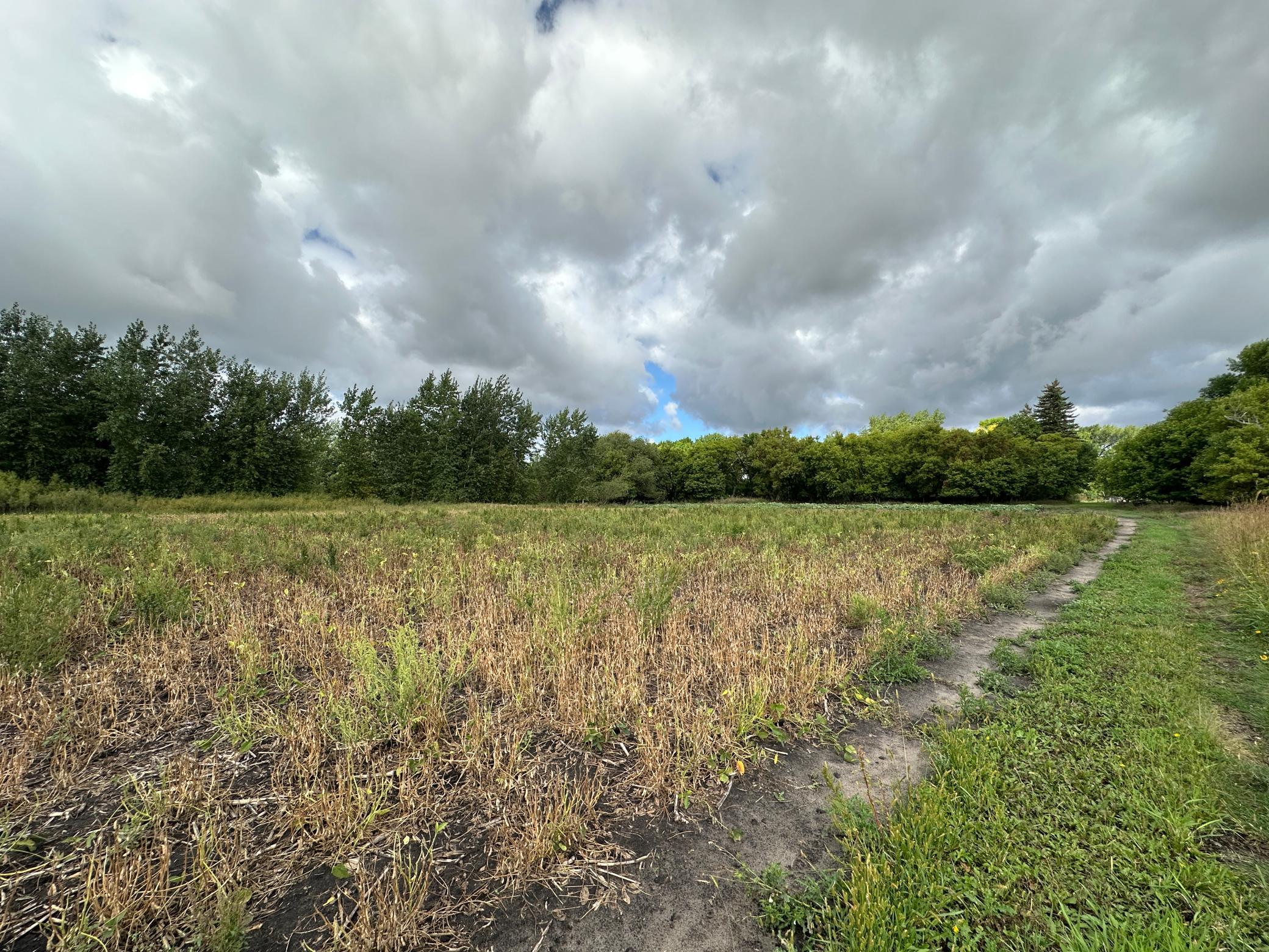 land for sale at 23307 210th Avenue N in Ulen, MN (photo 33 of 125)