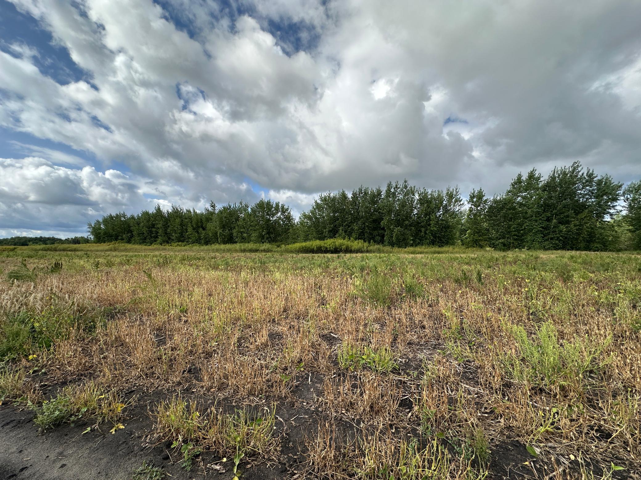 land for sale at 23307 210th Avenue N in Ulen, MN (photo 34 of 125)