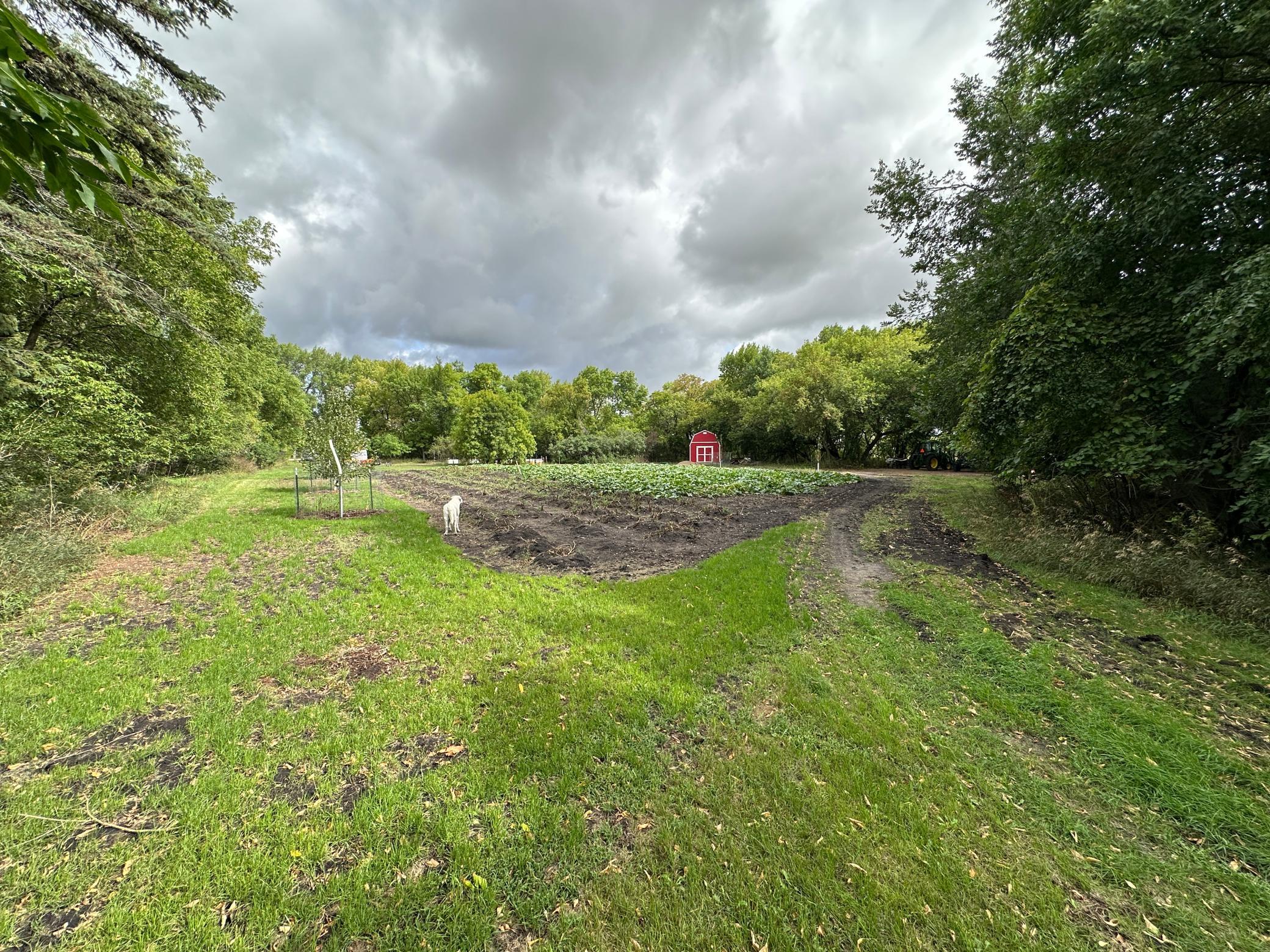 land for sale at 23307 210th Avenue N in Ulen, MN (photo 37 of 125)