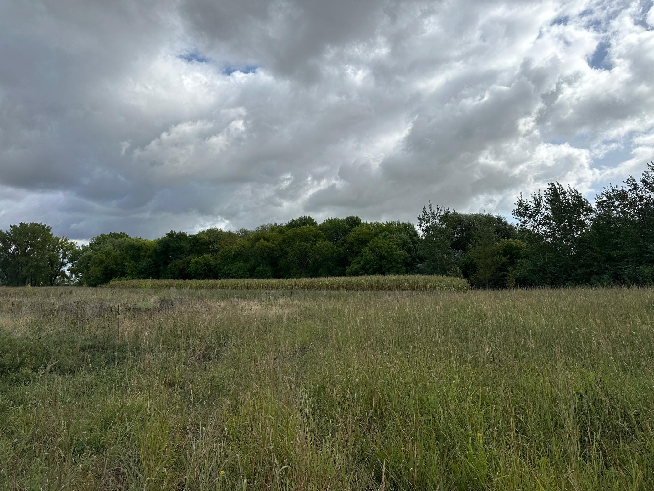land for sale at 23307 210th Avenue N in Ulen, MN (photo 40 of 125)