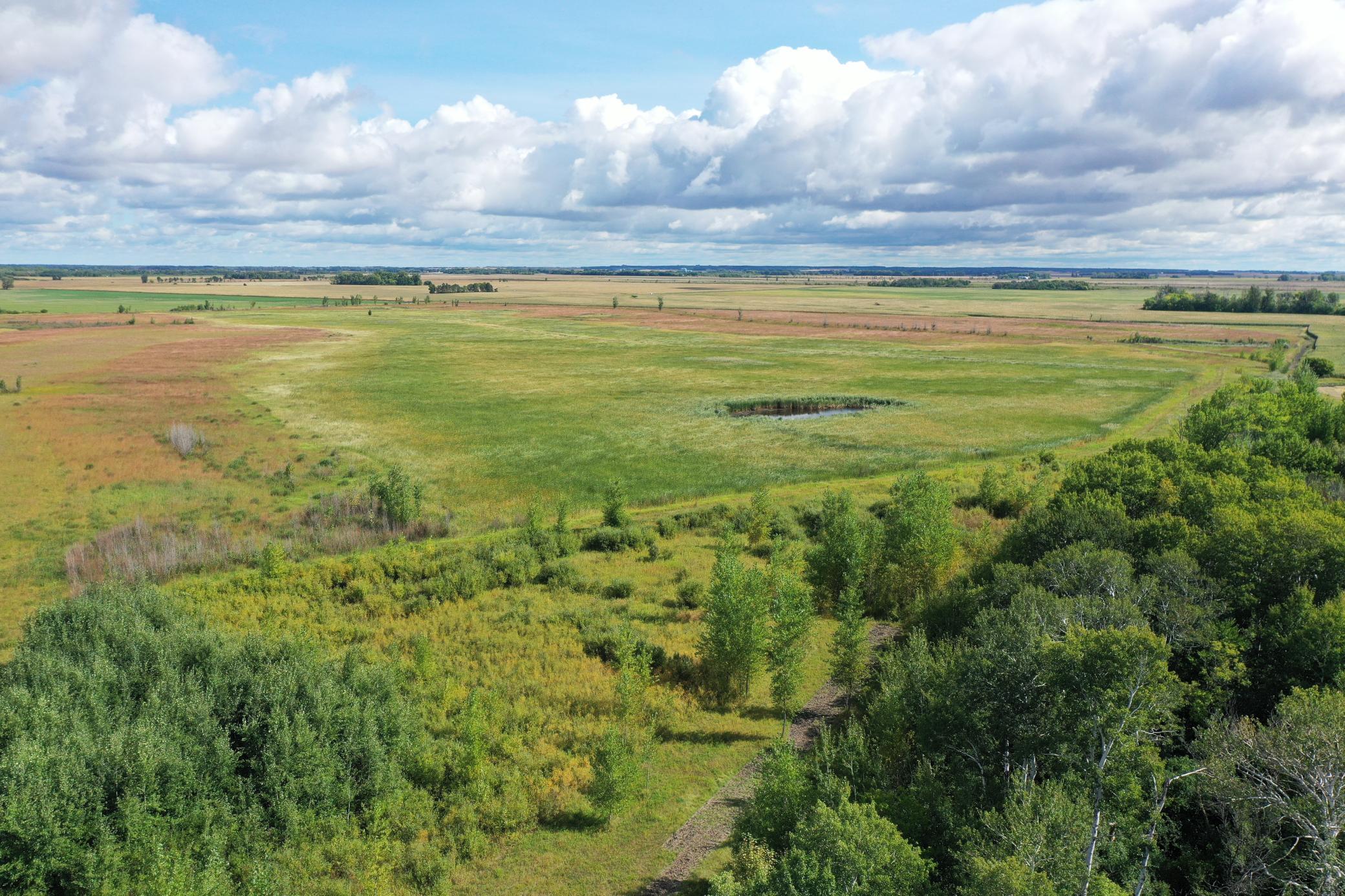 land for sale at 23307 210th Avenue N in Ulen, MN (photo 5 of 125)