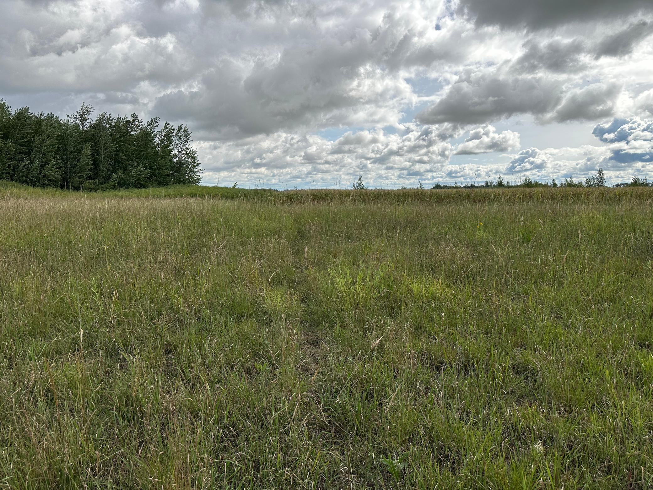 land for sale at 23307 210th Avenue N in Ulen, MN (photo 41 of 125)