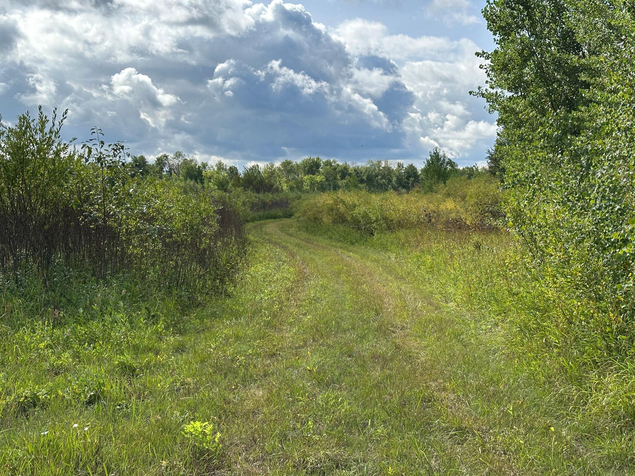 land for sale at 23307 210th Avenue N in Ulen, MN (photo 42 of 125)