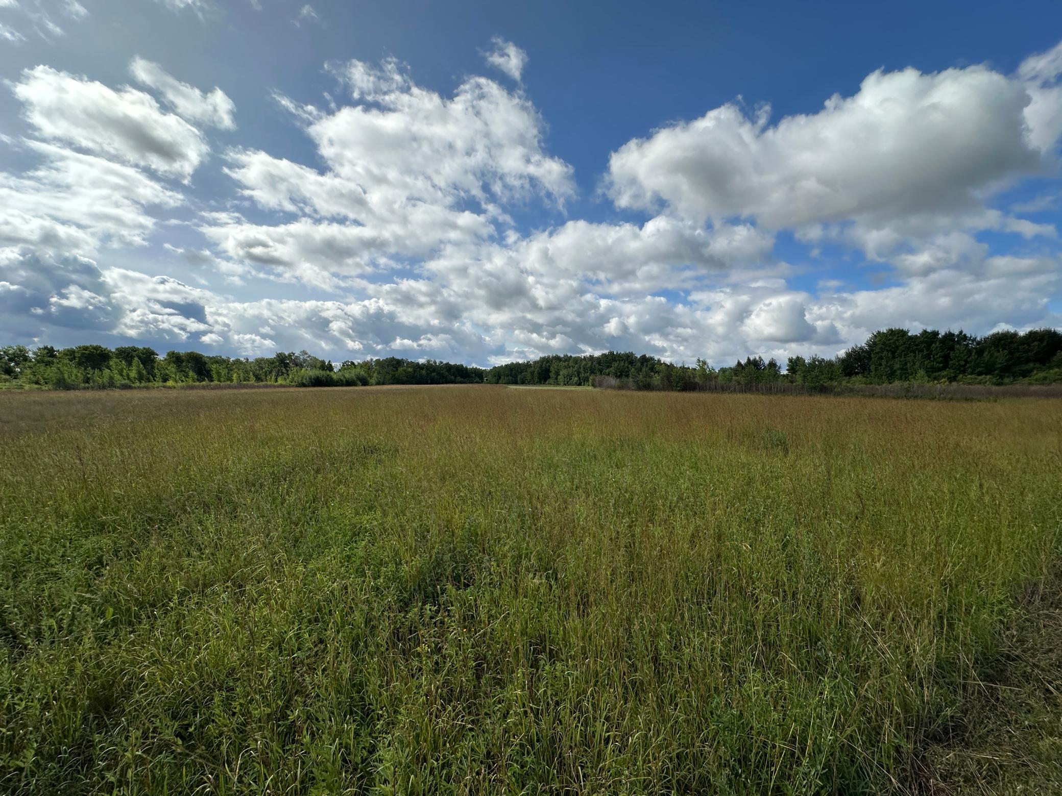 land for sale at 23307 210th Avenue N in Ulen, MN (photo 45 of 125)
