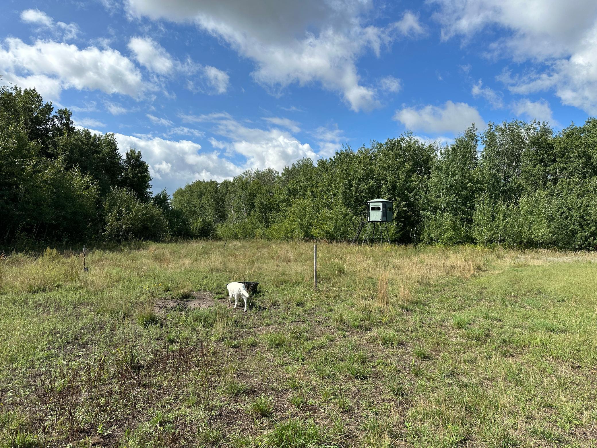 land for sale at 23307 210th Avenue N in Ulen, MN (photo 47 of 125)