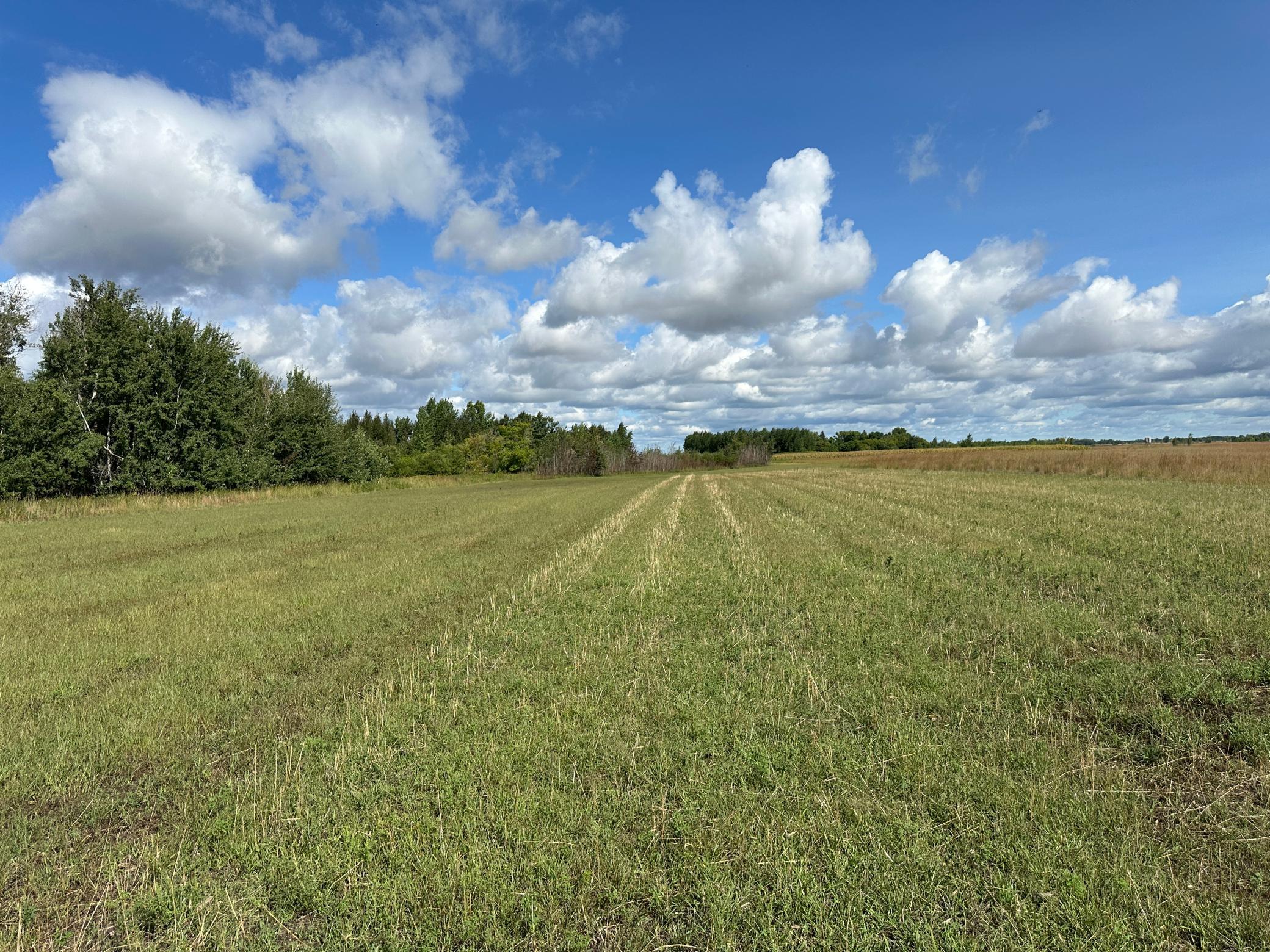 land for sale at 23307 210th Avenue N in Ulen, MN (photo 49 of 125)