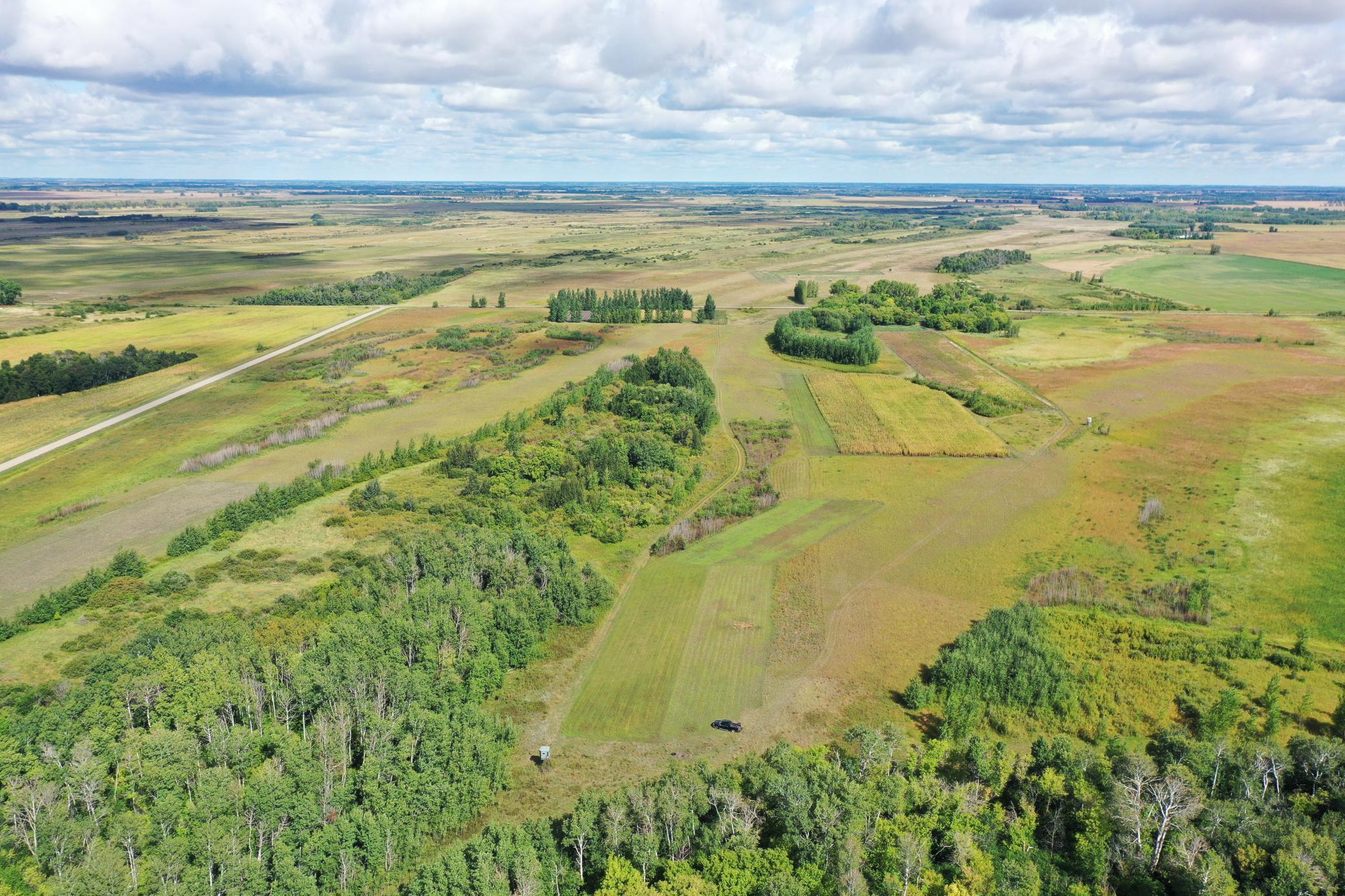 land for sale at 23307 210th Avenue N in Ulen, MN (photo 6 of 125)