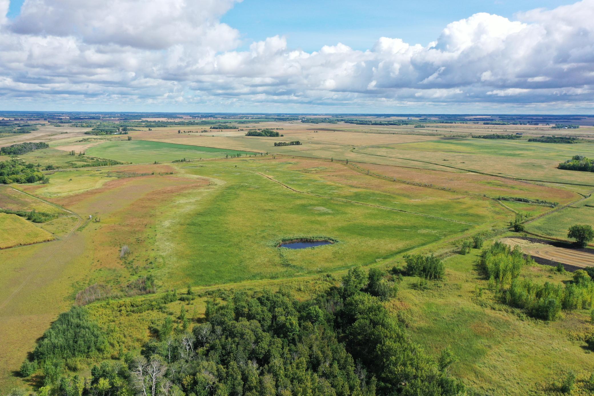 land for sale at 23307 210th Avenue N in Ulen, MN (photo 7 of 125)