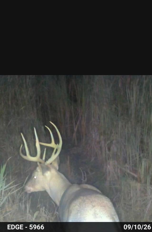land for sale at 23307 210th Avenue N in Ulen, MN (photo 62 of 125)