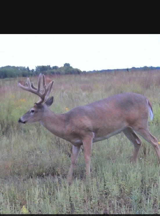 land for sale at 23307 210th Avenue N in Ulen, MN (photo 70 of 125)