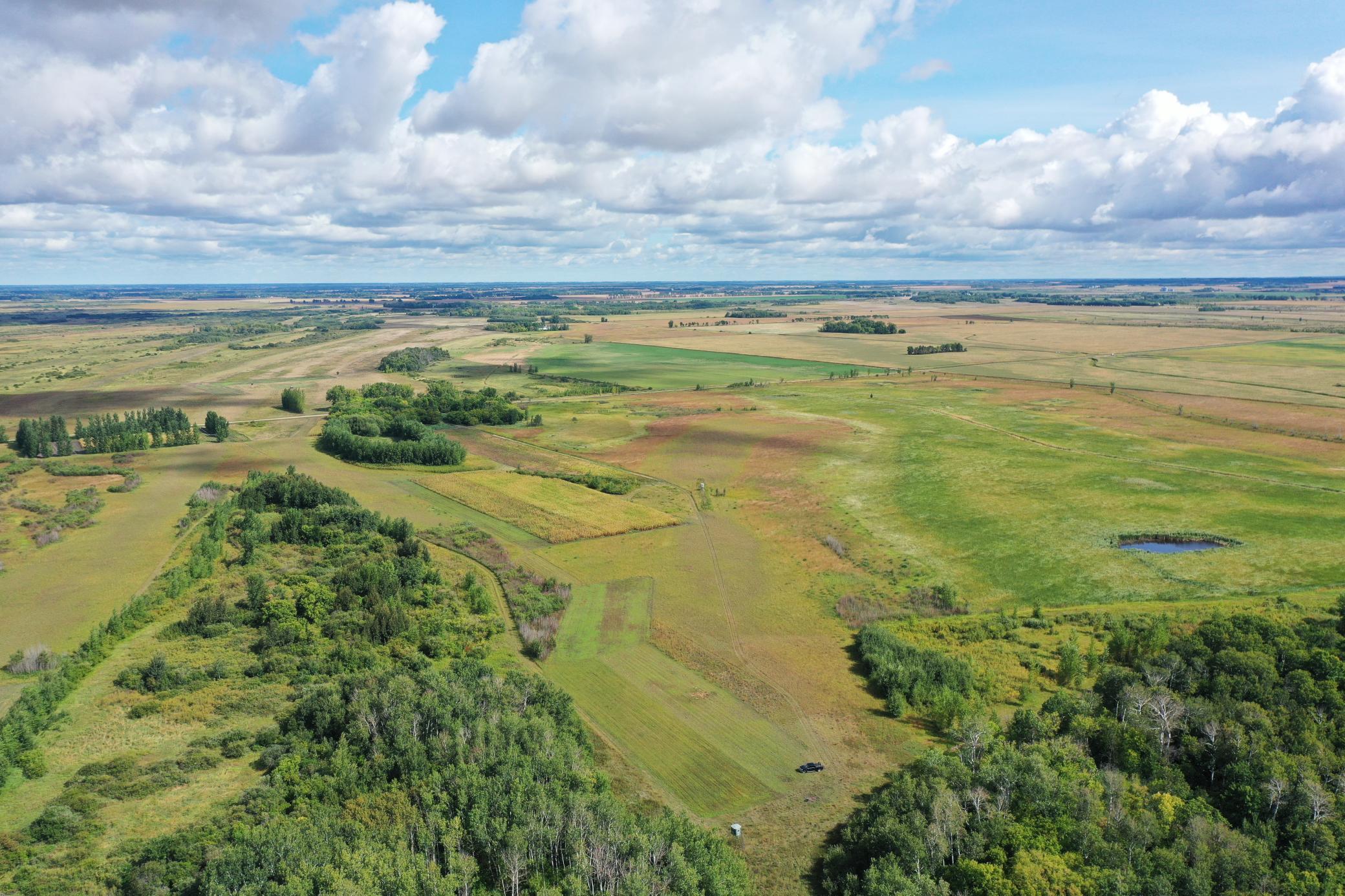 land for sale at 23307 210th Avenue N in Ulen, MN (photo 8 of 125)