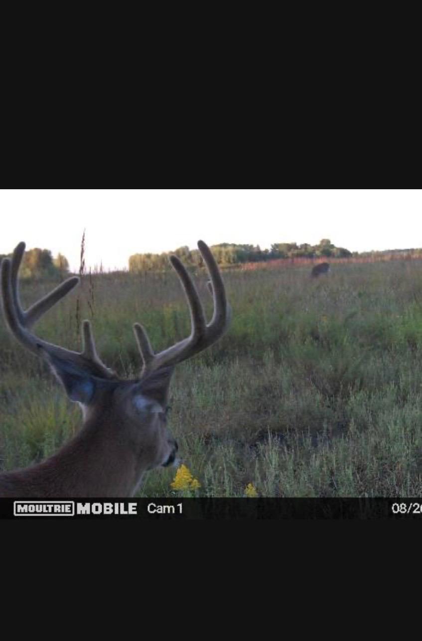 land for sale at 23307 210th Avenue N in Ulen, MN (photo 79 of 125)
